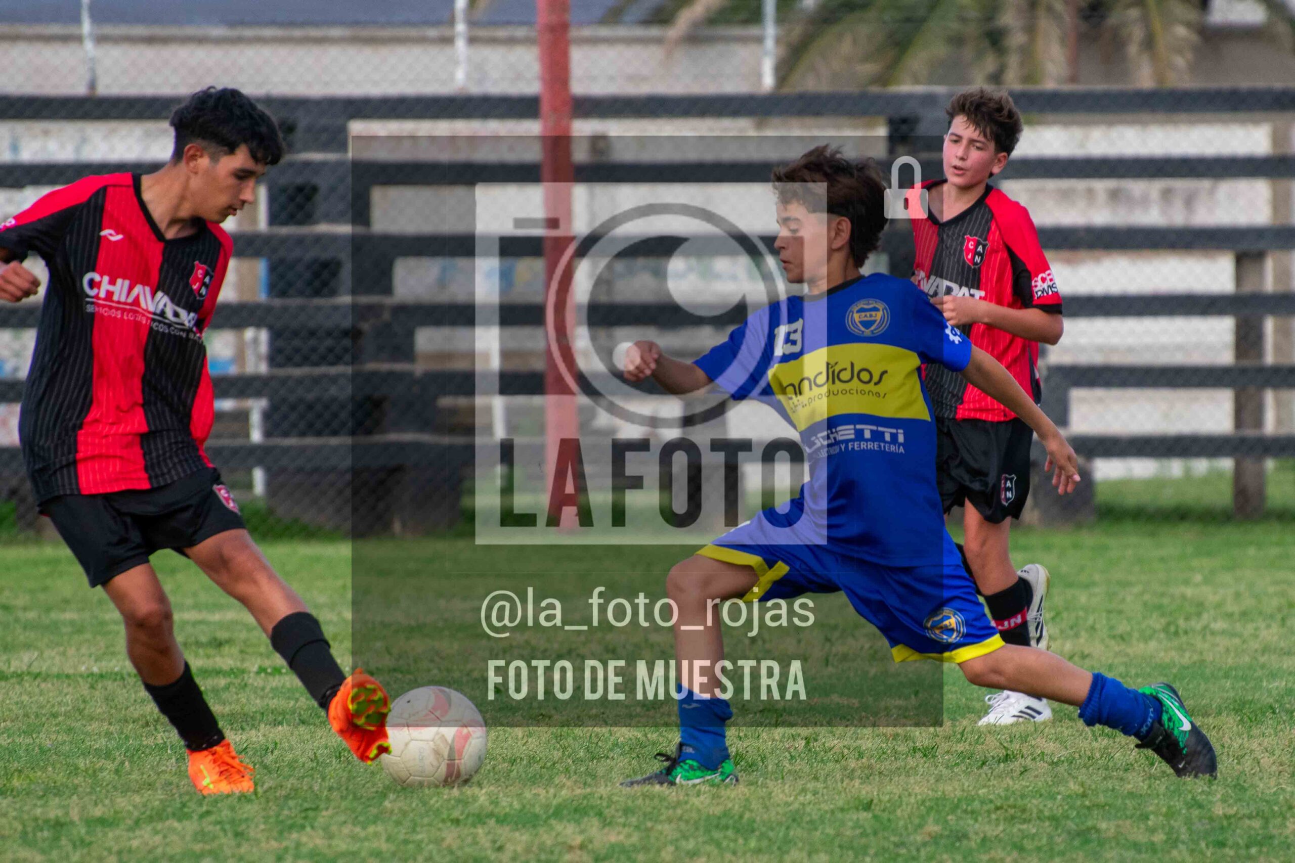 Fotografía DSC_0469-scaled de 15-11 NEWBERY BOCA / SUB15