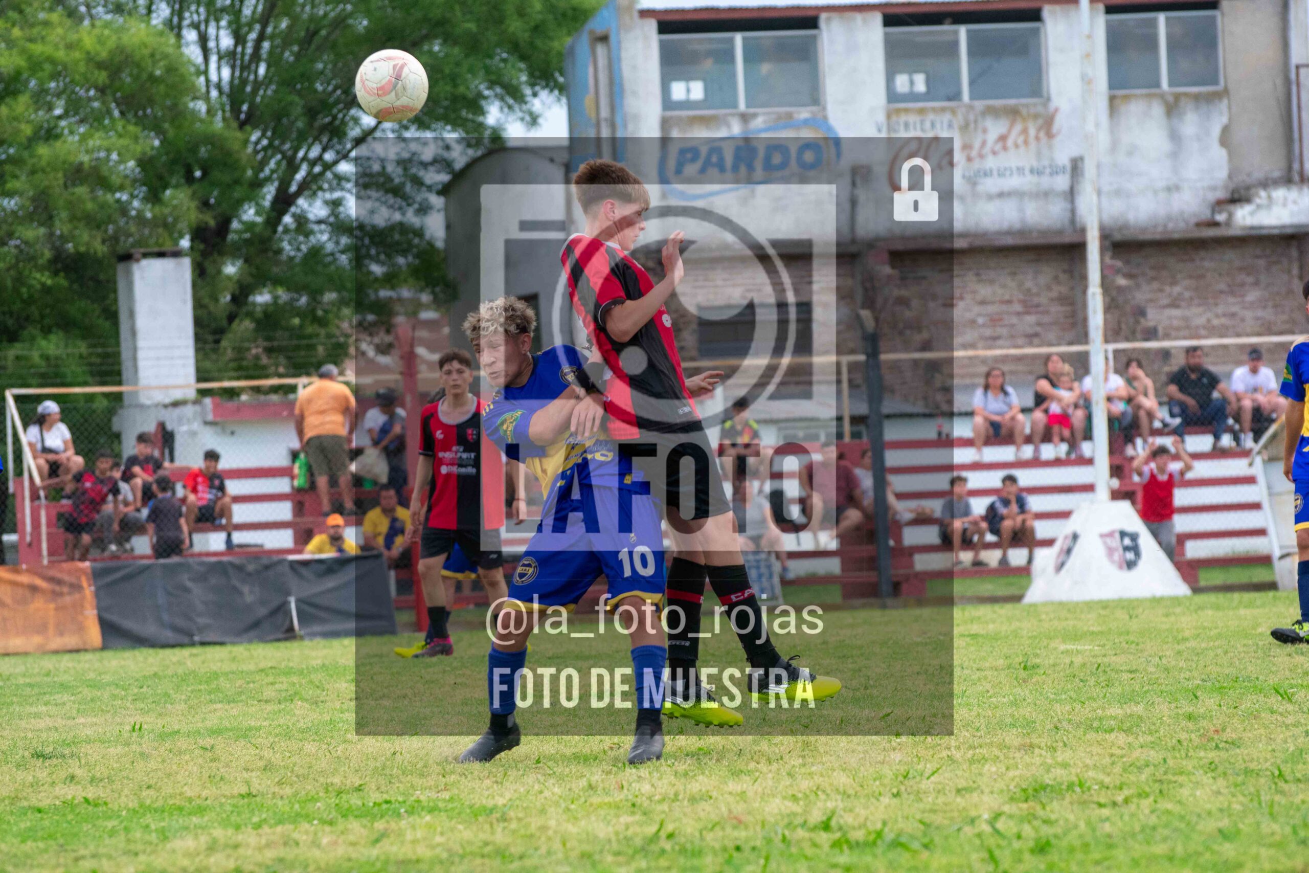 Fotografía DSC_0548-scaled de 15-11 NEWBERY BOCA / SUB17