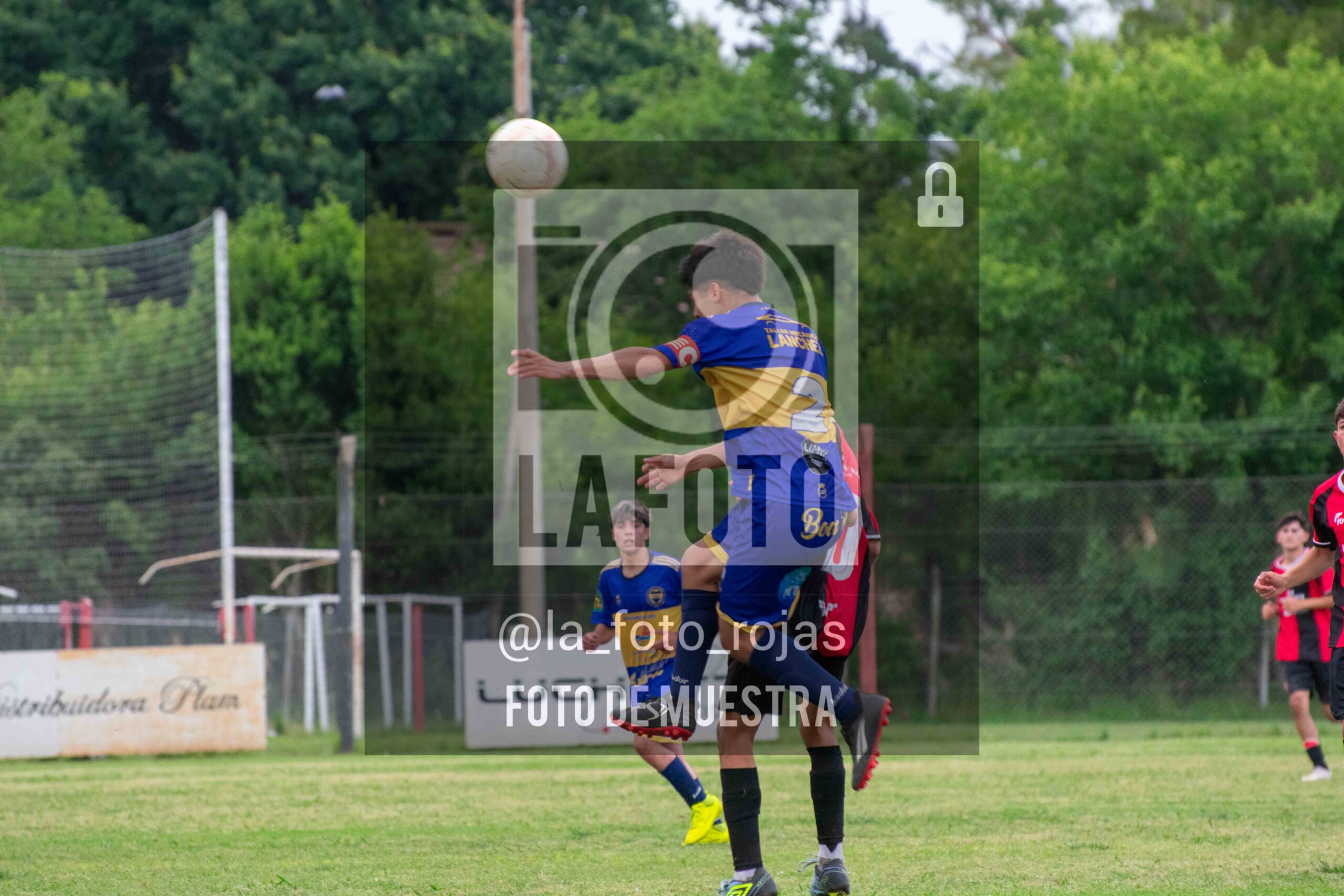 Fotografía DSC_0562-scaled de 15-11 NEWBERY BOCA / SUB17