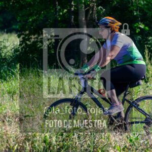 Fotografía ETAPA-3-480-scaled de DESAFIO PLENTY - E3