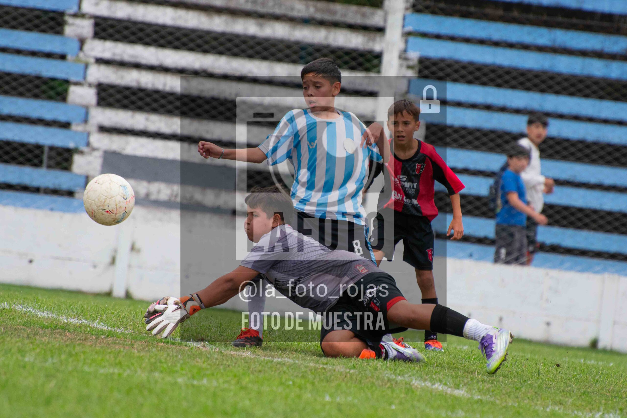 Fotografía SUB12-NEW-ARG-100-scaled de ARGENTINO - NEWBERY / SUB12 / 8-11
