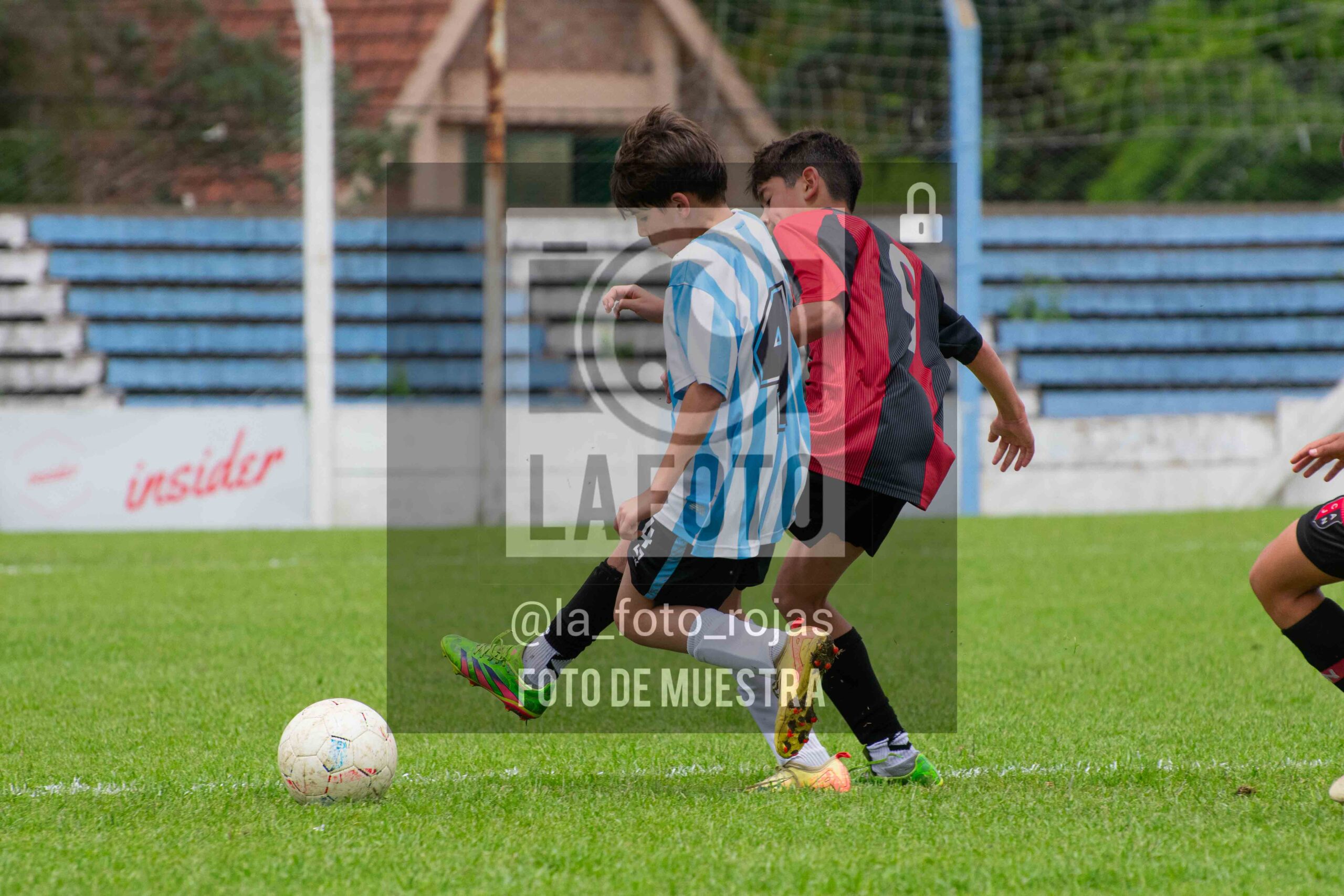 Fotografía SUB12-NEW-ARG-101-scaled de ARGENTINO - NEWBERY / SUB12 / 8-11