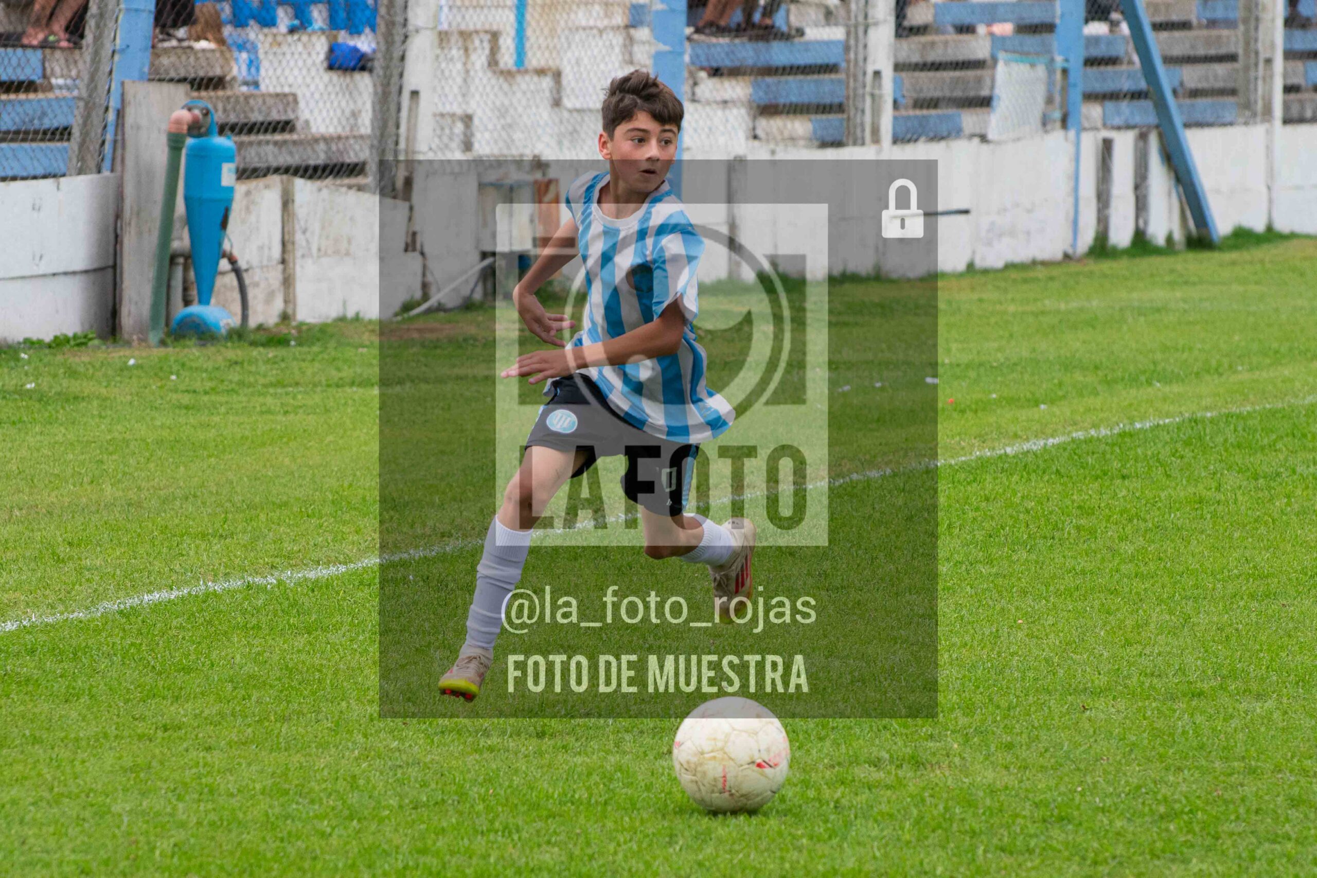 Fotografía SUB12-NEW-ARG-103-scaled de ARGENTINO - NEWBERY / SUB12 / 8-11