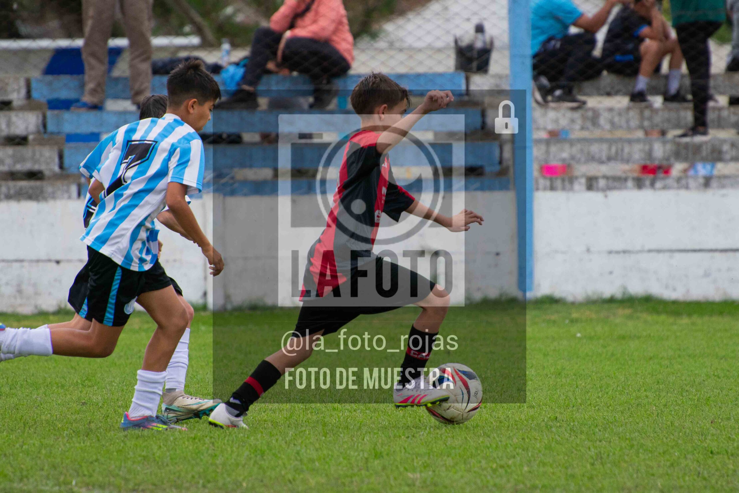 Fotografía SUB12-NEW-ARG-11-scaled de ARGENTINO - NEWBERY / SUB12 / 8-11