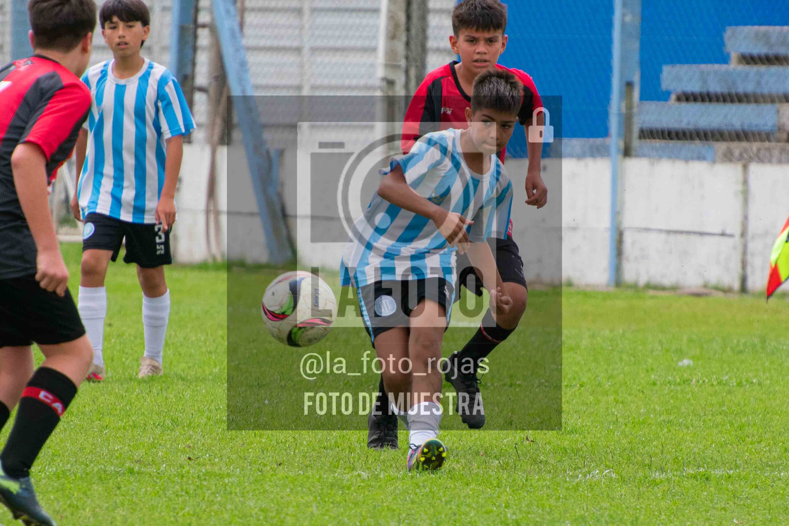 Fotografía SUB12-NEW-ARG-117-scaled de ARGENTINO - NEWBERY / SUB12 / 8-11