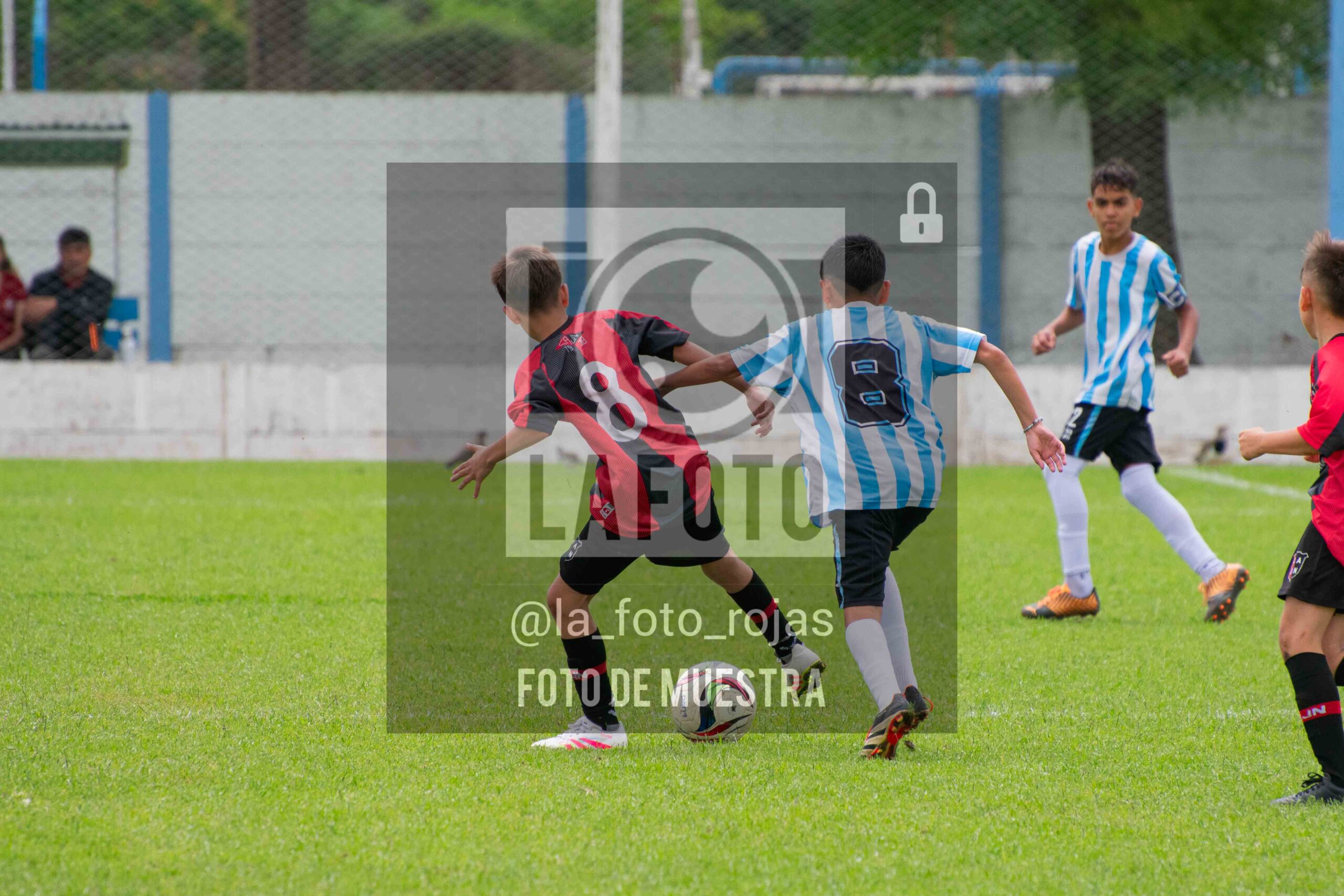 Fotografía SUB12-NEW-ARG-118-scaled de ARGENTINO - NEWBERY / SUB12 / 8-11