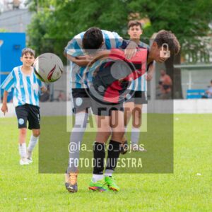 Fotografía SUB12-NEW-ARG-121-scaled de ARGENTINO - NEWBERY / SUB12 / 8-11