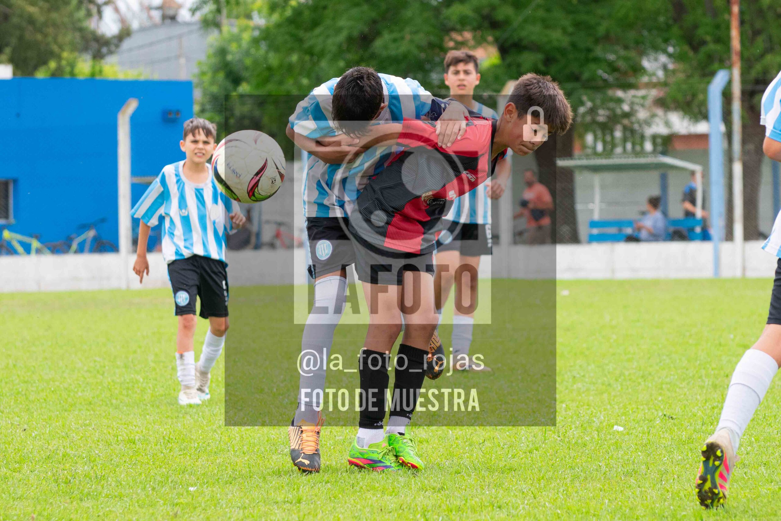 Fotografía SUB12-NEW-ARG-121-scaled de ARGENTINO - NEWBERY / SUB12 / 8-11