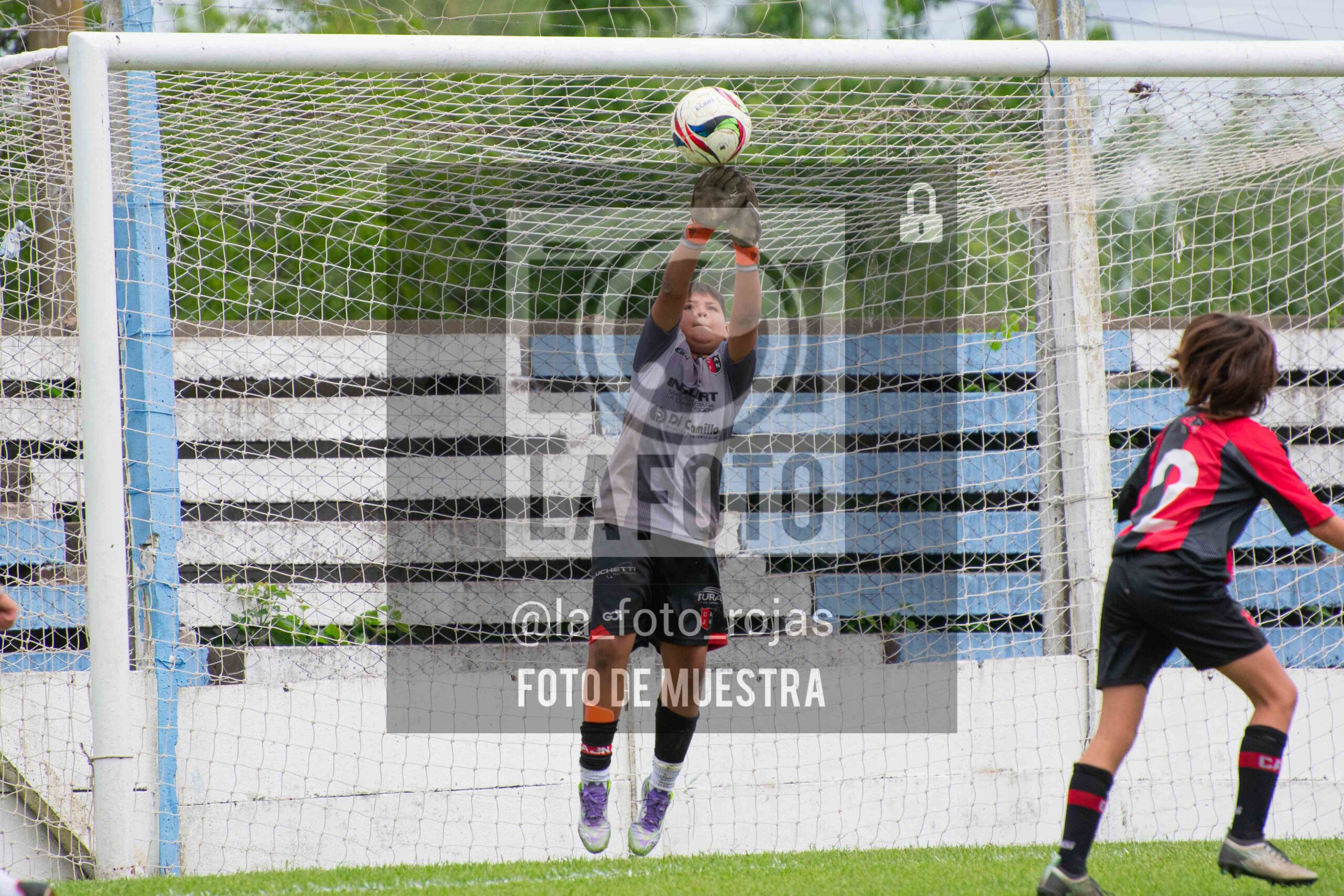 Fotografía SUB12-NEW-ARG-127-scaled de ARGENTINO - NEWBERY / SUB12 / 8-11
