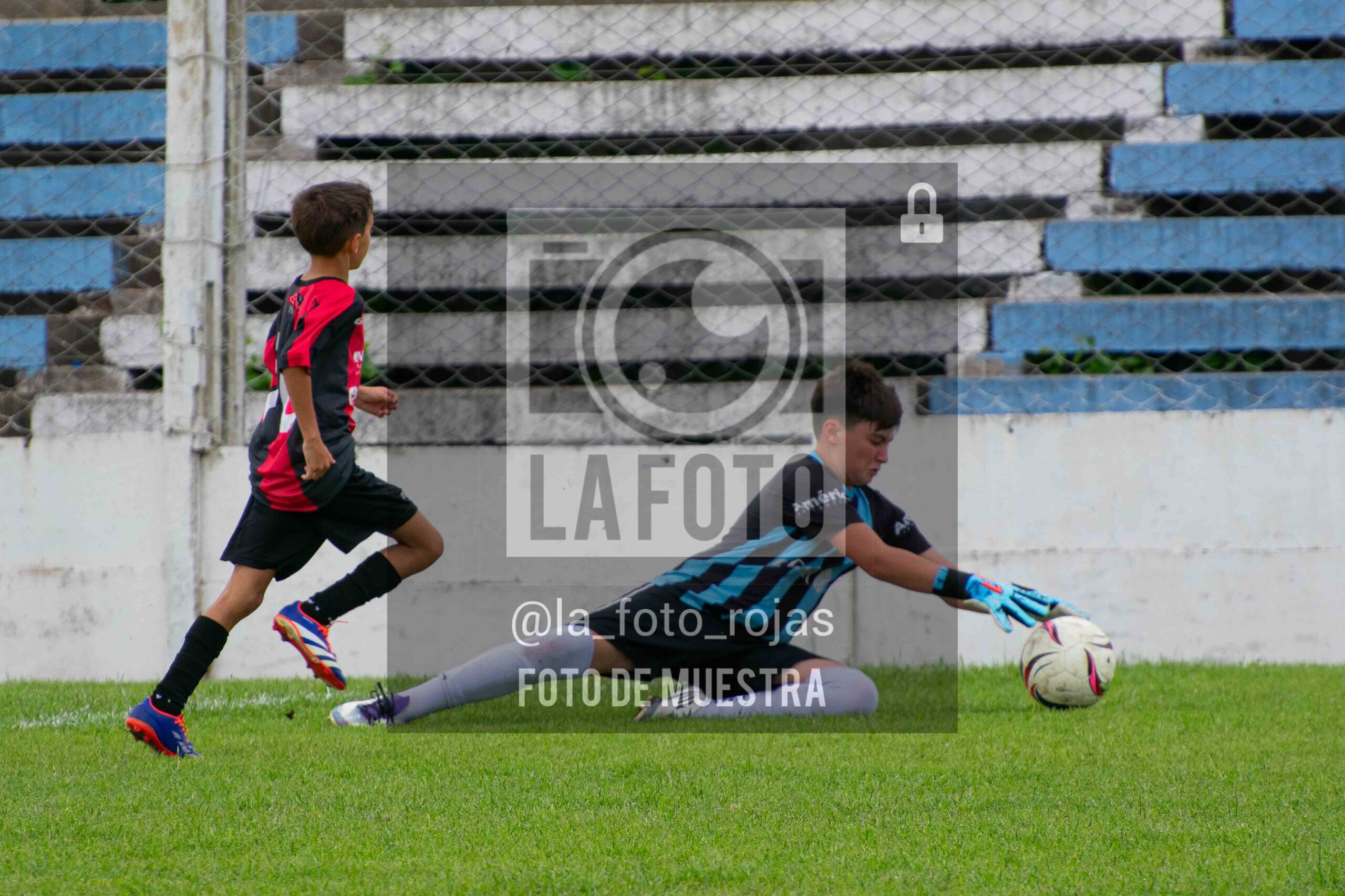 Fotografía SUB12-NEW-ARG-13-scaled de ARGENTINO - NEWBERY / SUB12 / 8-11