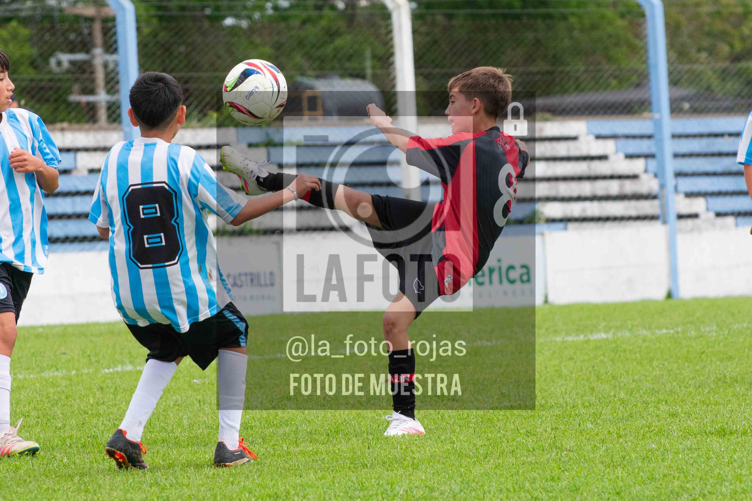 Fotografía SUB12-NEW-ARG-132-scaled de ARGENTINO - NEWBERY / SUB12 / 8-11