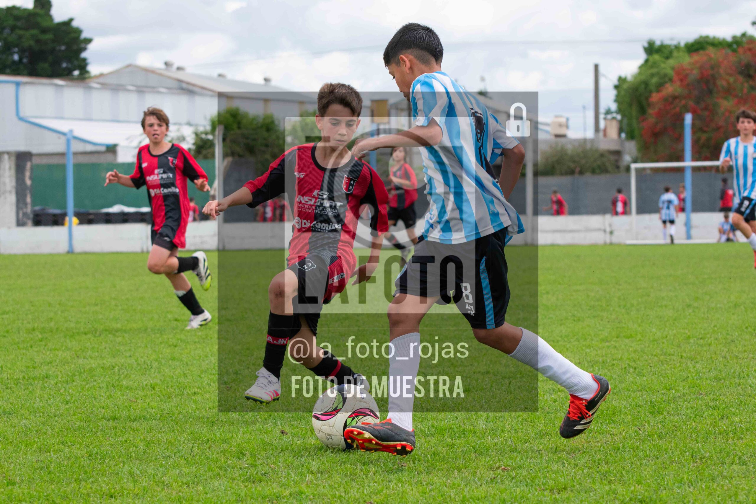 Fotografía SUB12-NEW-ARG-138-scaled de ARGENTINO - NEWBERY / SUB12 / 8-11