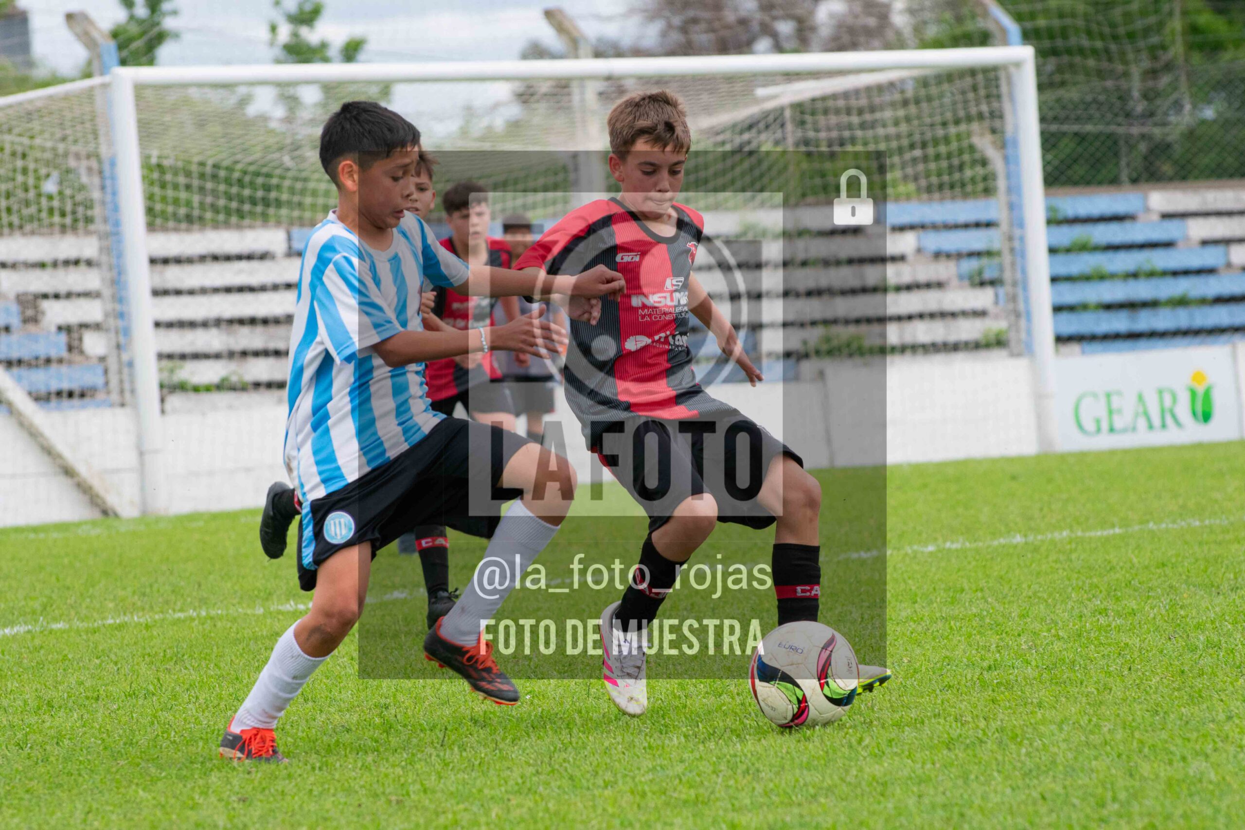 Fotografía SUB12-NEW-ARG-142-scaled de ARGENTINO - NEWBERY / SUB12 / 8-11