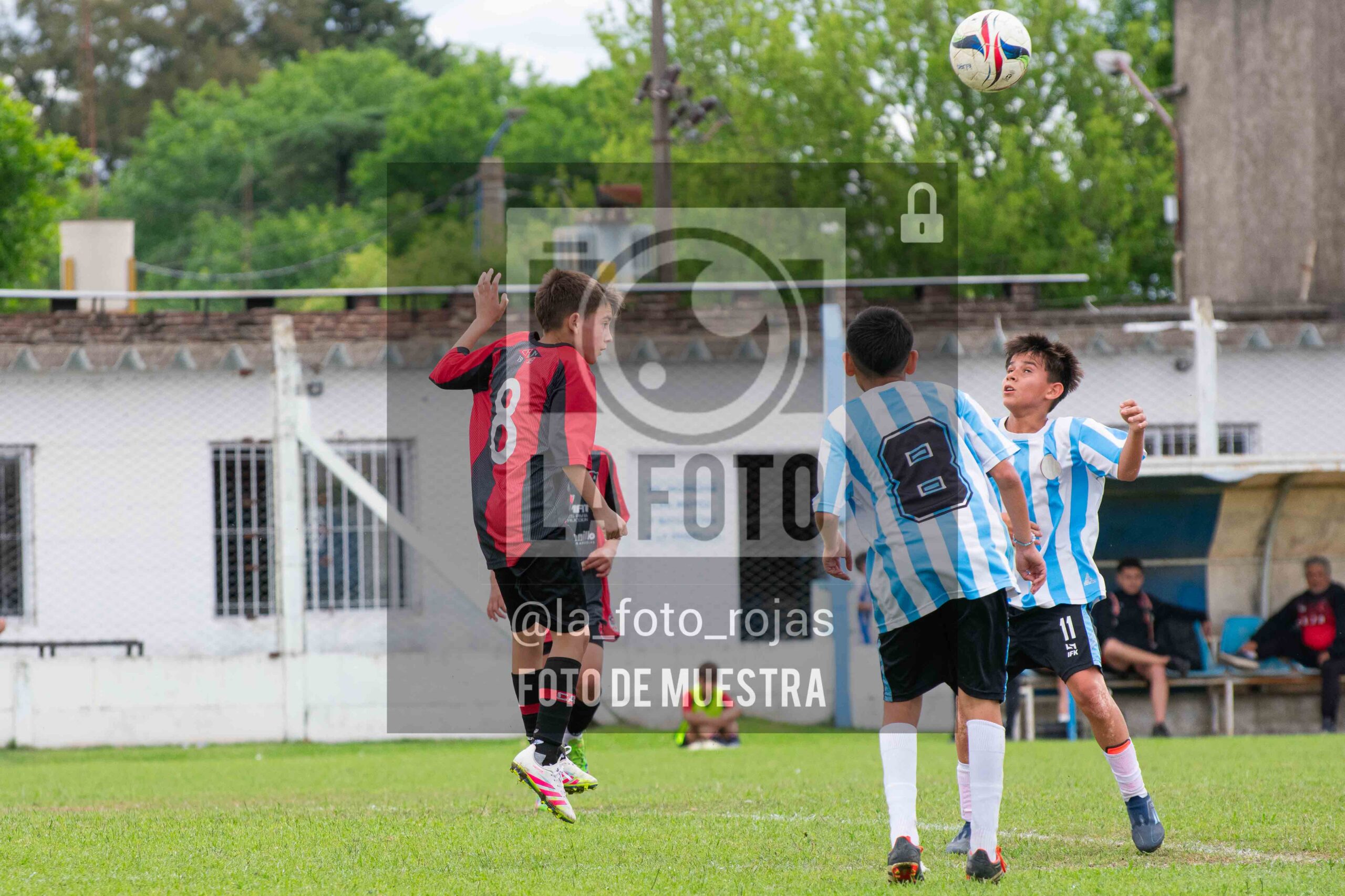 Fotografía SUB12-NEW-ARG-147-scaled de ARGENTINO - NEWBERY / SUB12 / 8-11