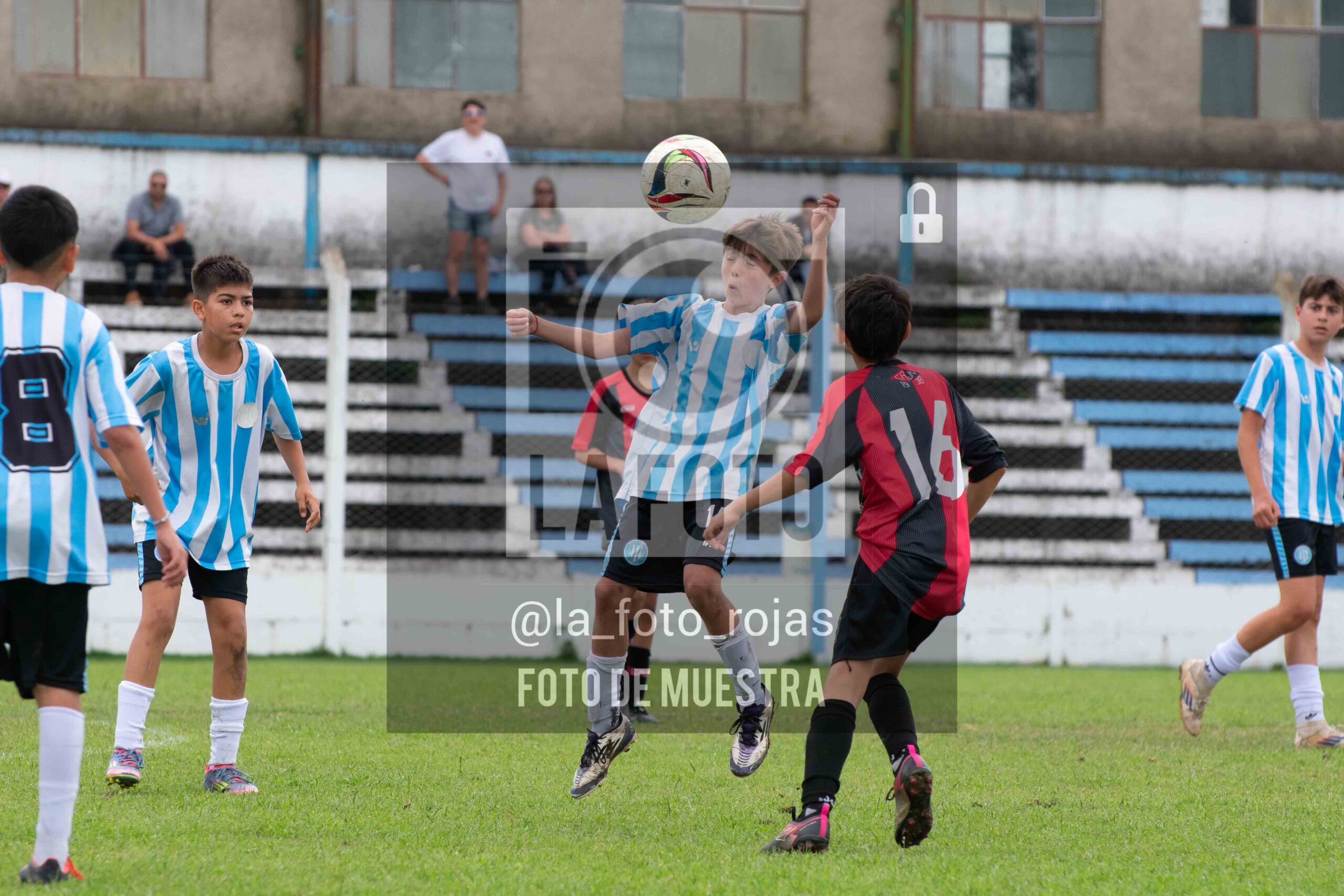 Fotografía SUB12-NEW-ARG-149-scaled de ARGENTINO - NEWBERY / SUB12 / 8-11