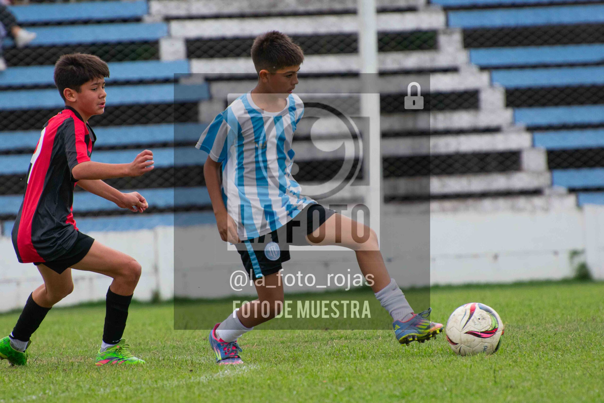 Fotografía SUB12-NEW-ARG-152-scaled de ARGENTINO - NEWBERY / SUB12 / 8-11