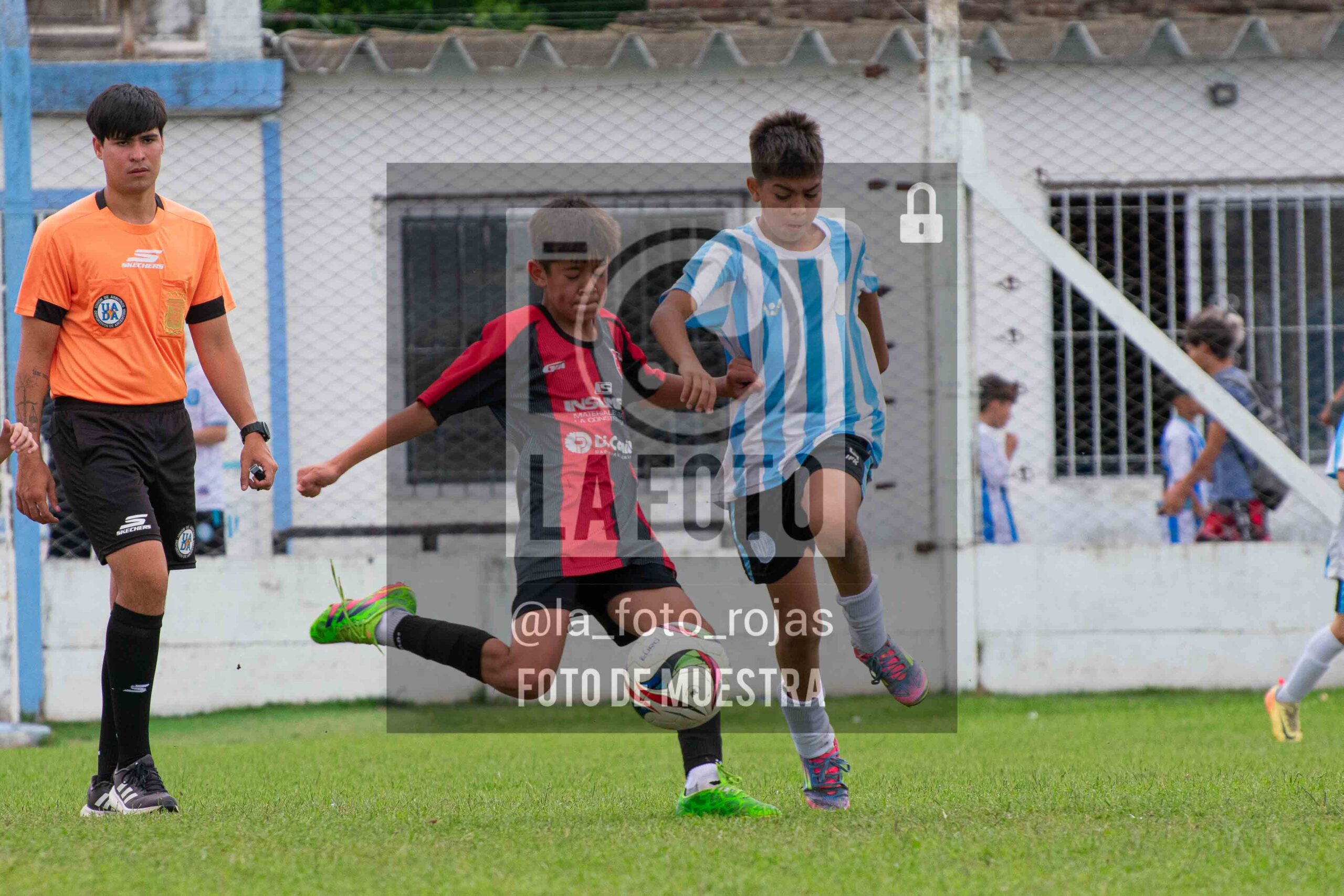Fotografía SUB12-NEW-ARG-157-scaled de ARGENTINO - NEWBERY / SUB12 / 8-11