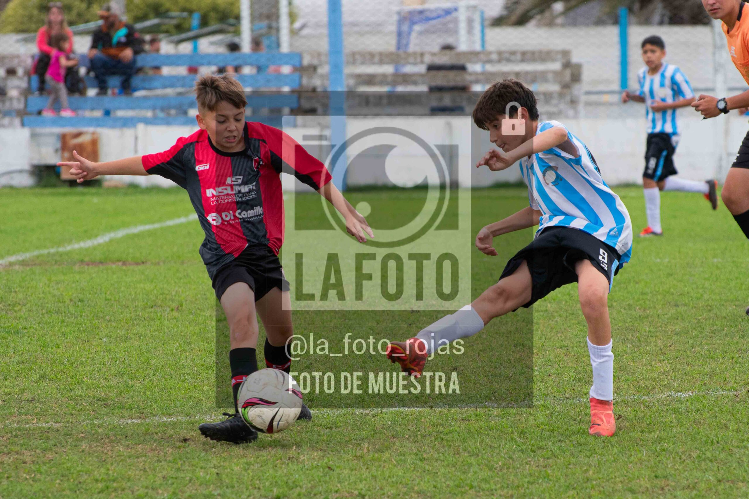 Fotografía SUB12-NEW-ARG-16-scaled de ARGENTINO - NEWBERY / SUB12 / 8-11
