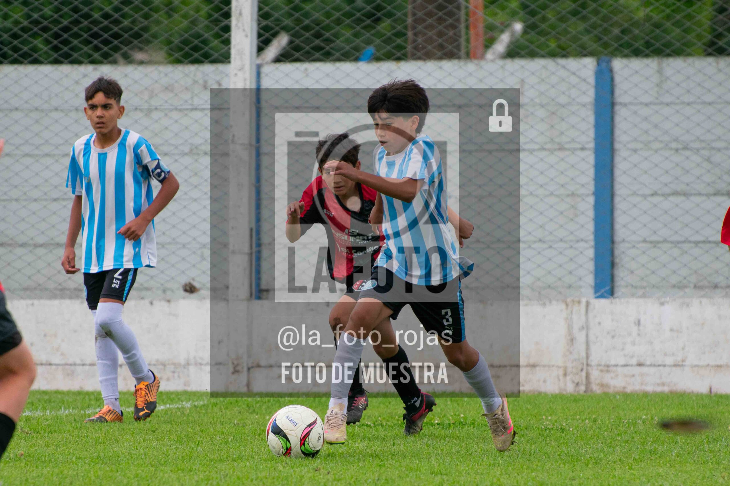 Fotografía SUB12-NEW-ARG-166-scaled de ARGENTINO - NEWBERY / SUB12 / 8-11