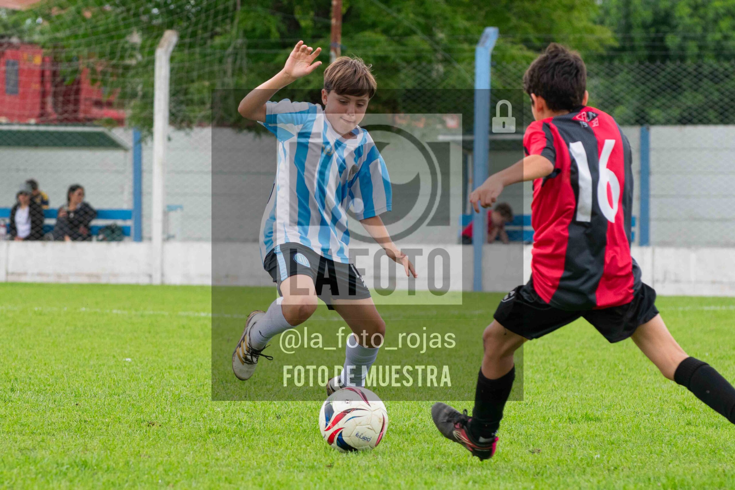 Fotografía SUB12-NEW-ARG-173-scaled de ARGENTINO - NEWBERY / SUB12 / 8-11
