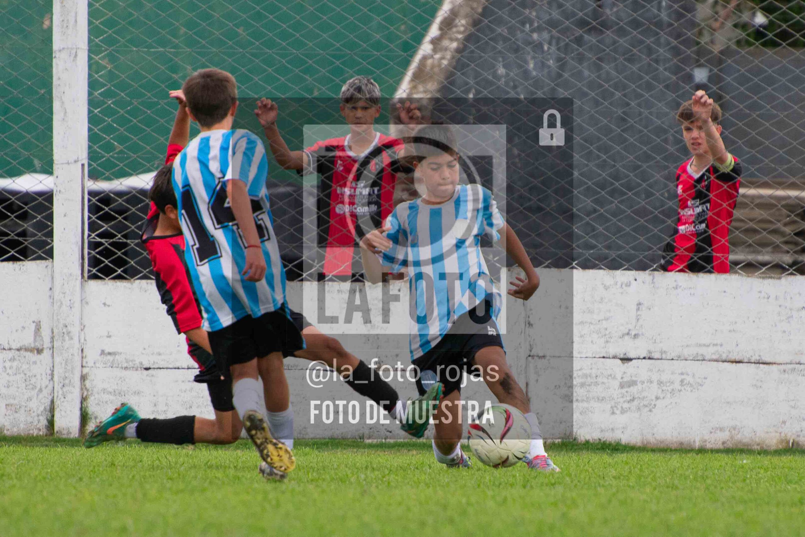 Fotografía SUB12-NEW-ARG-176-scaled de ARGENTINO - NEWBERY / SUB12 / 8-11