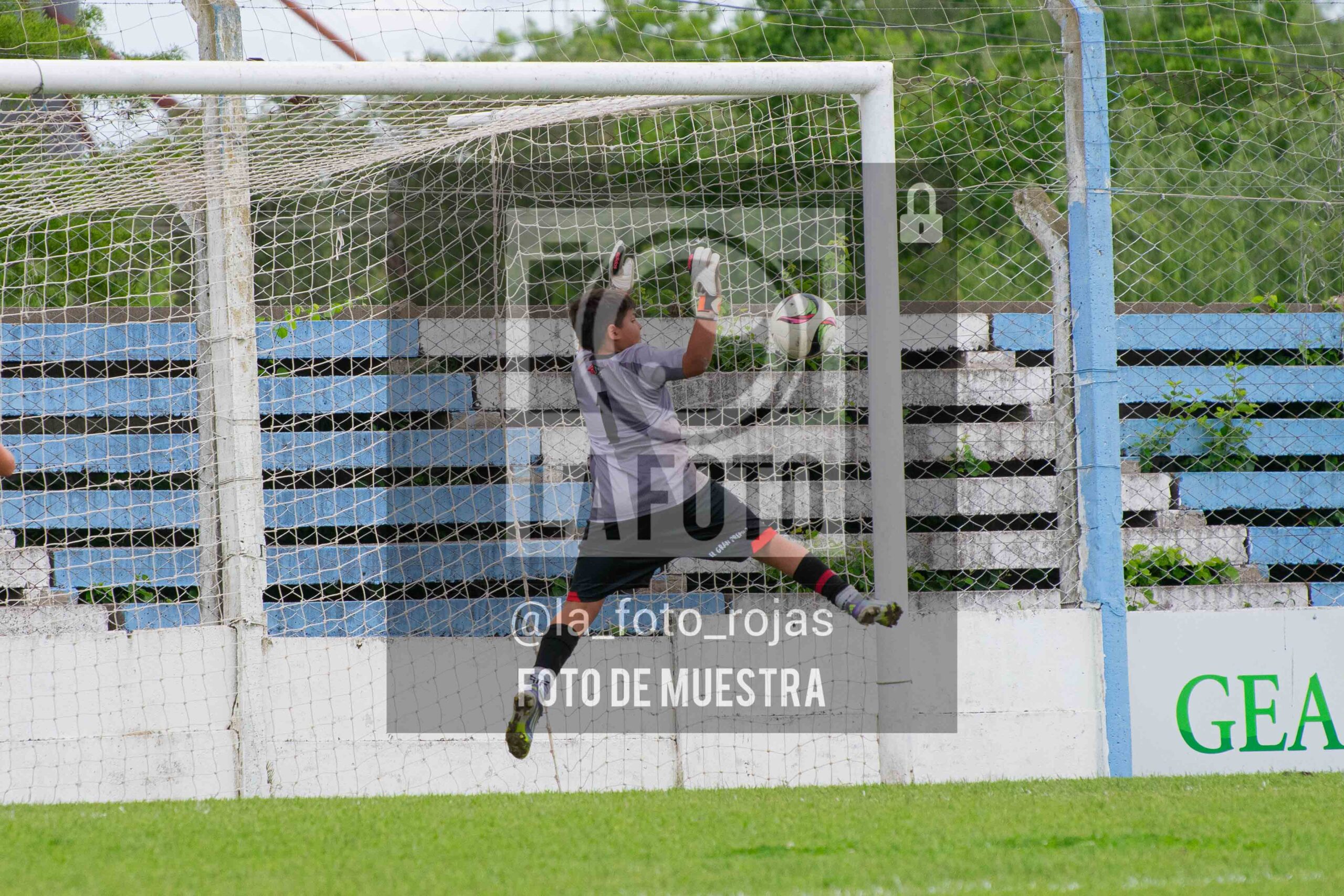 Fotografía SUB12-NEW-ARG-177-scaled de ARGENTINO - NEWBERY / SUB12 / 8-11
