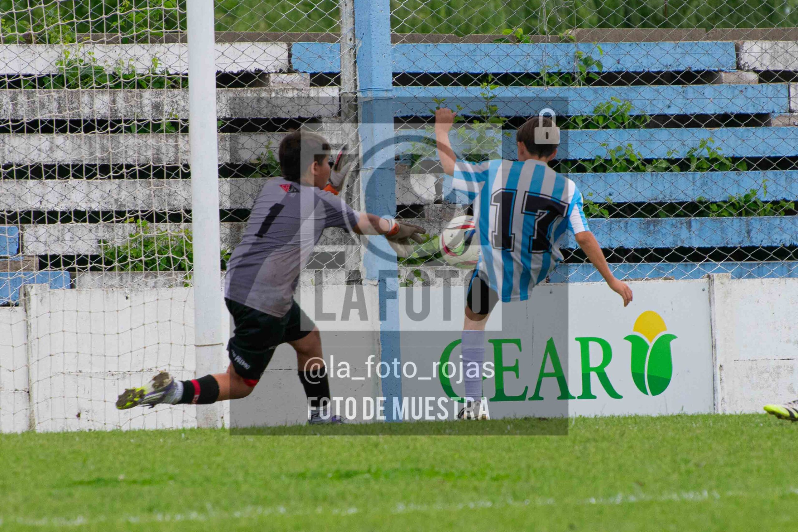Fotografía SUB12-NEW-ARG-178-scaled de ARGENTINO - NEWBERY / SUB12 / 8-11