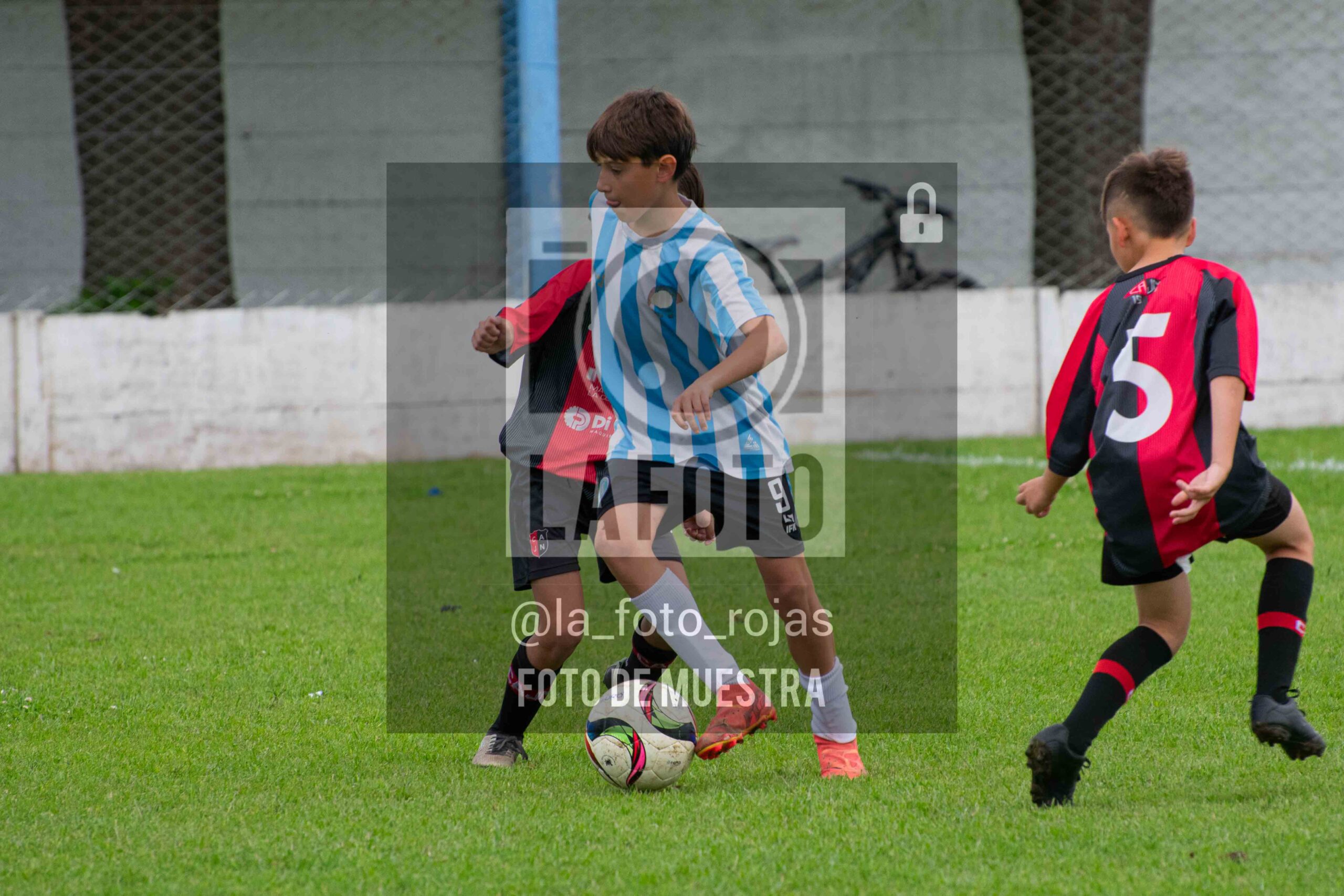 Fotografía SUB12-NEW-ARG-18-scaled de ARGENTINO - NEWBERY / SUB12 / 8-11