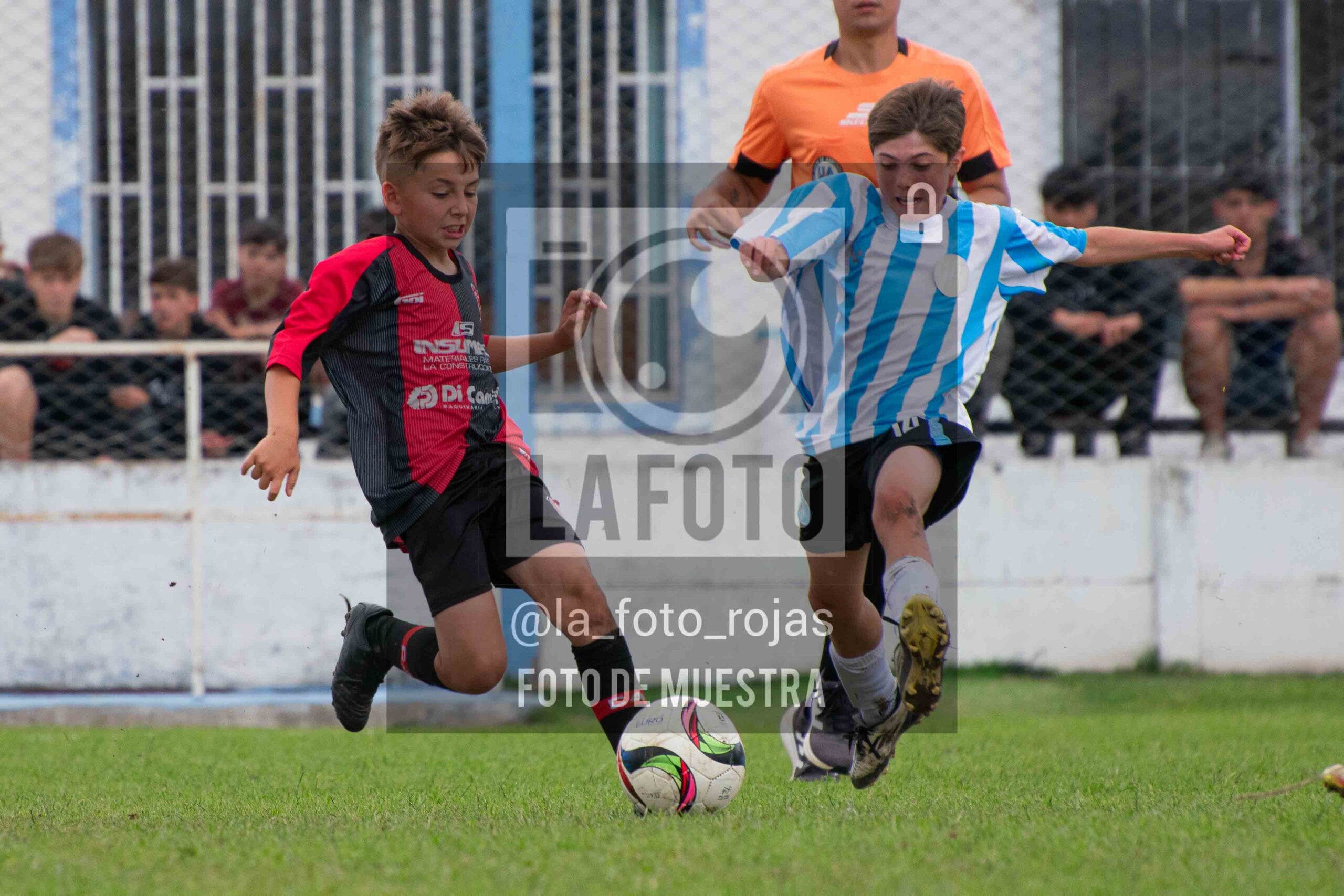 Fotografía SUB12-NEW-ARG-182-scaled de ARGENTINO - NEWBERY / SUB12 / 8-11