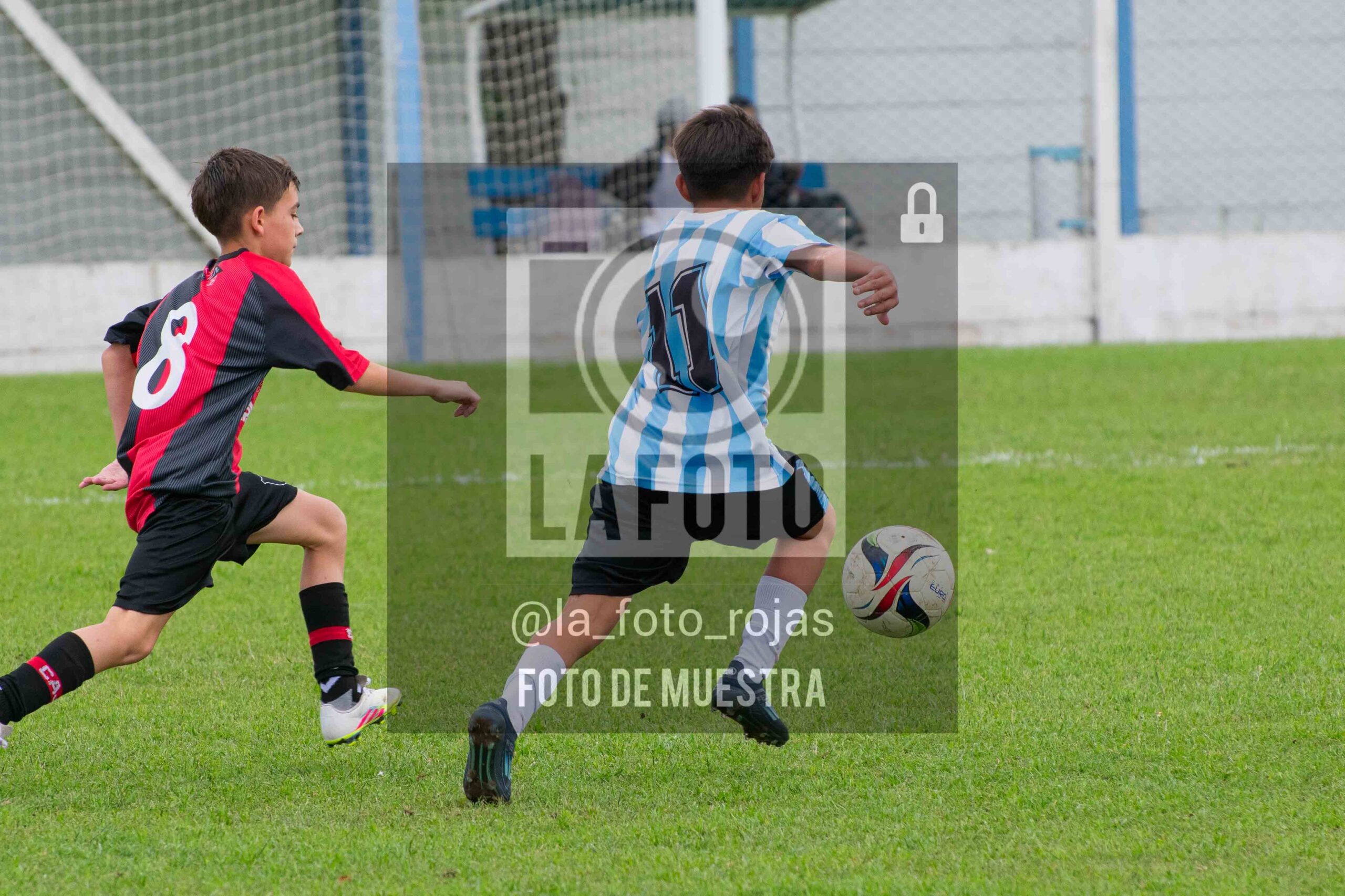 Fotografía SUB12-NEW-ARG-19-scaled de ARGENTINO - NEWBERY / SUB12 / 8-11
