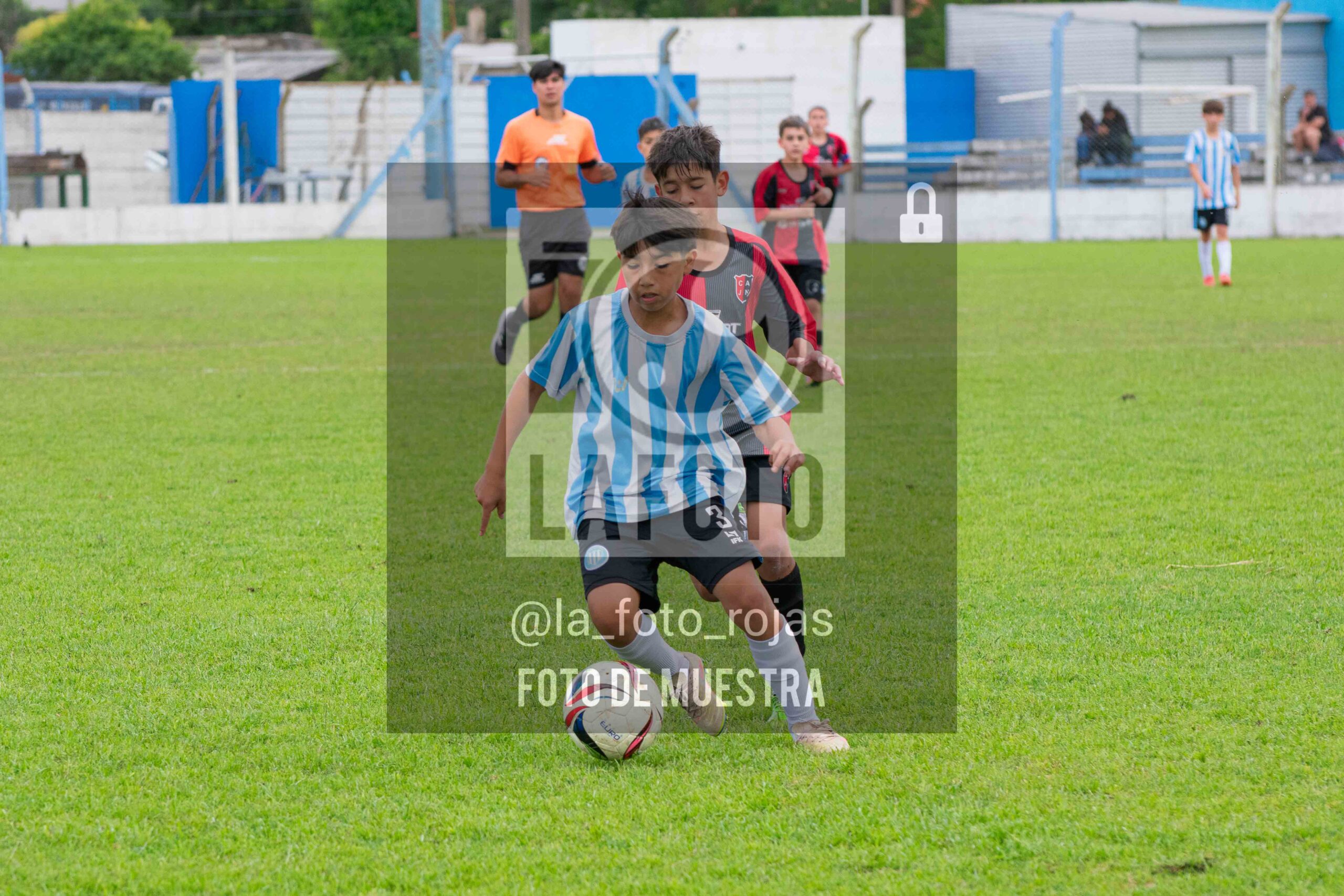 Fotografía SUB12-NEW-ARG-24-scaled de ARGENTINO - NEWBERY / SUB12 / 8-11