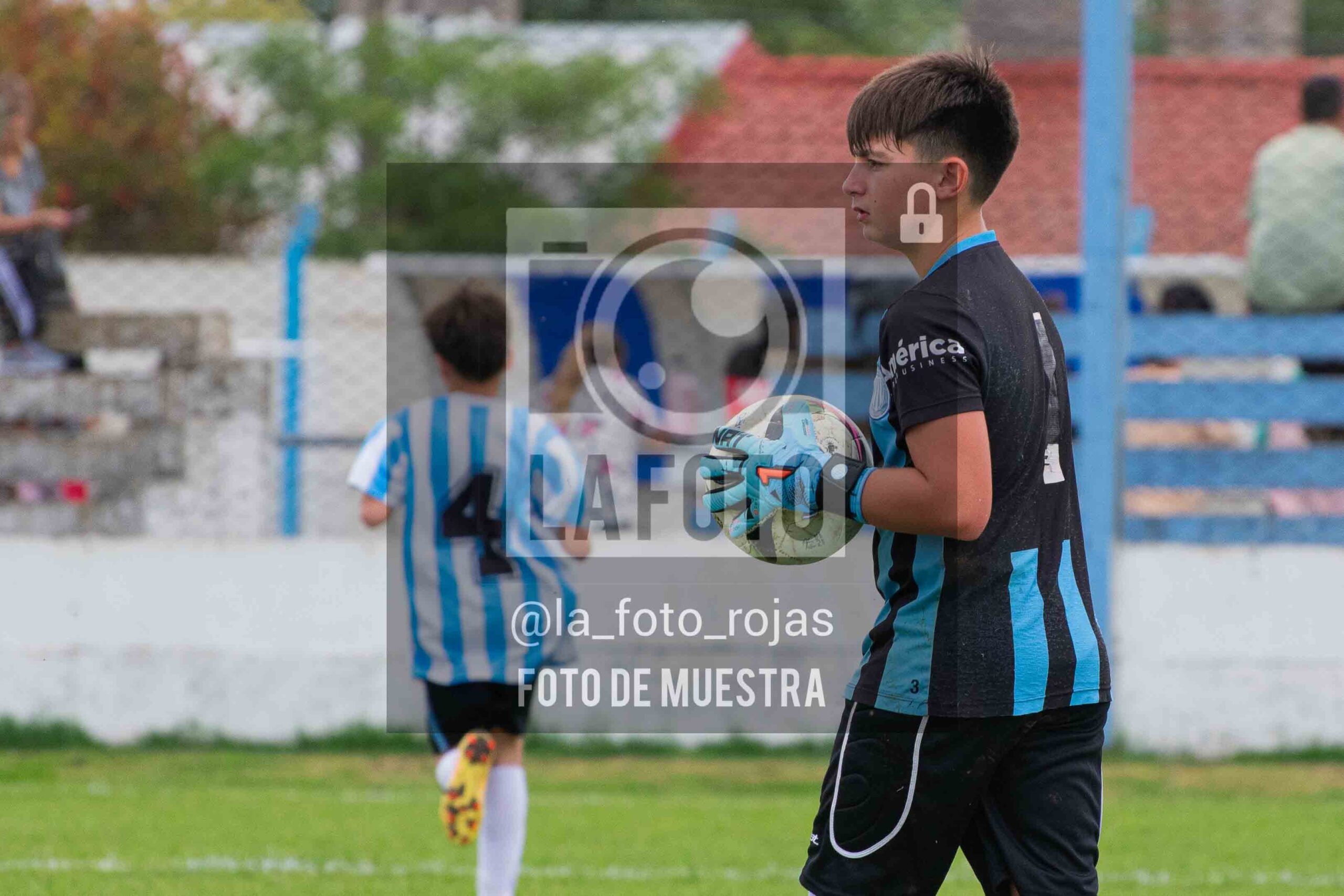 Fotografía SUB12-NEW-ARG-30-scaled de ARGENTINO - NEWBERY / SUB12 / 8-11