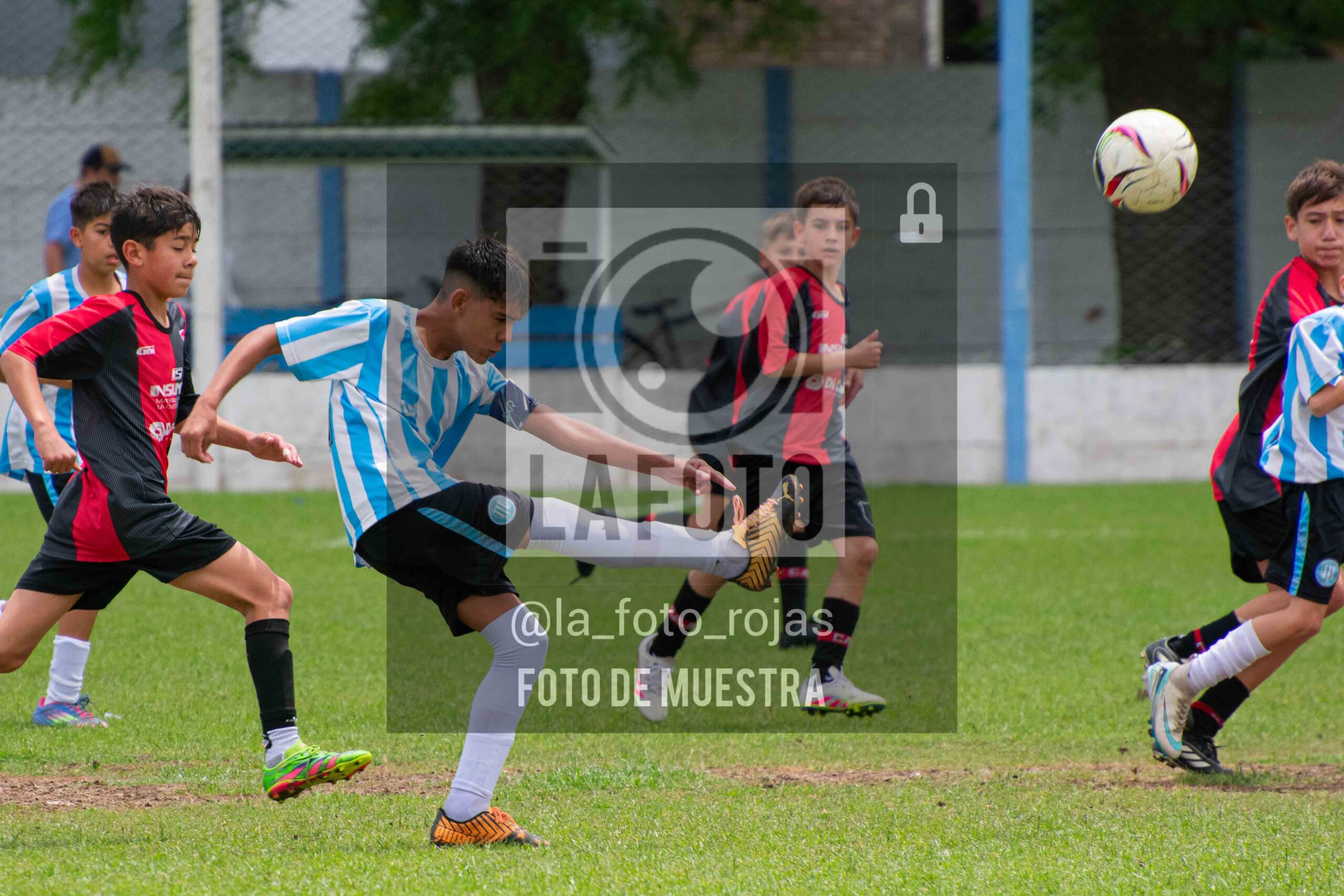 Fotografía SUB12-NEW-ARG-33-scaled de ARGENTINO - NEWBERY / SUB12 / 8-11