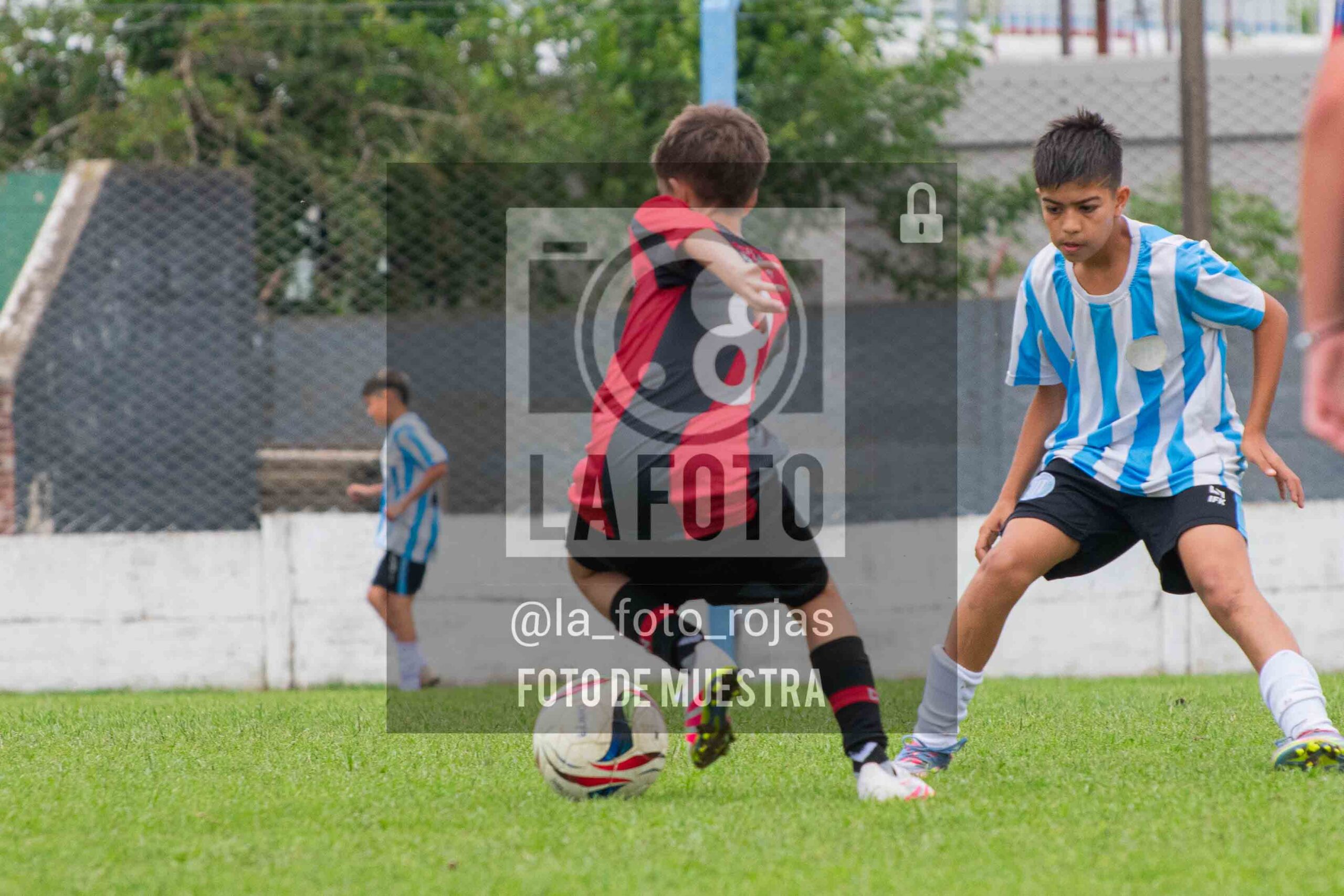 Fotografía SUB12-NEW-ARG-41-scaled de ARGENTINO - NEWBERY / SUB12 / 8-11