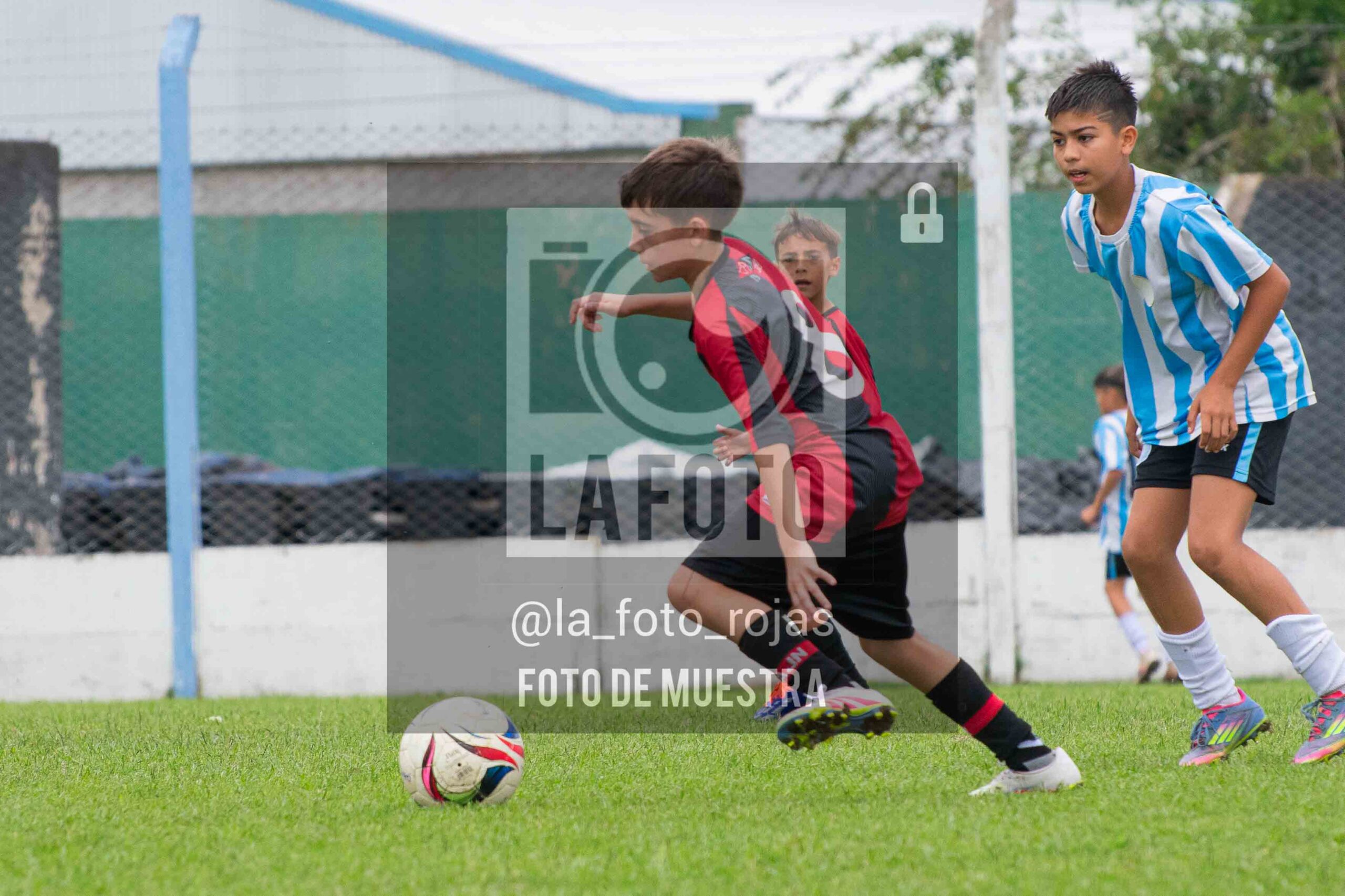 Fotografía SUB12-NEW-ARG-42-scaled de ARGENTINO - NEWBERY / SUB12 / 8-11