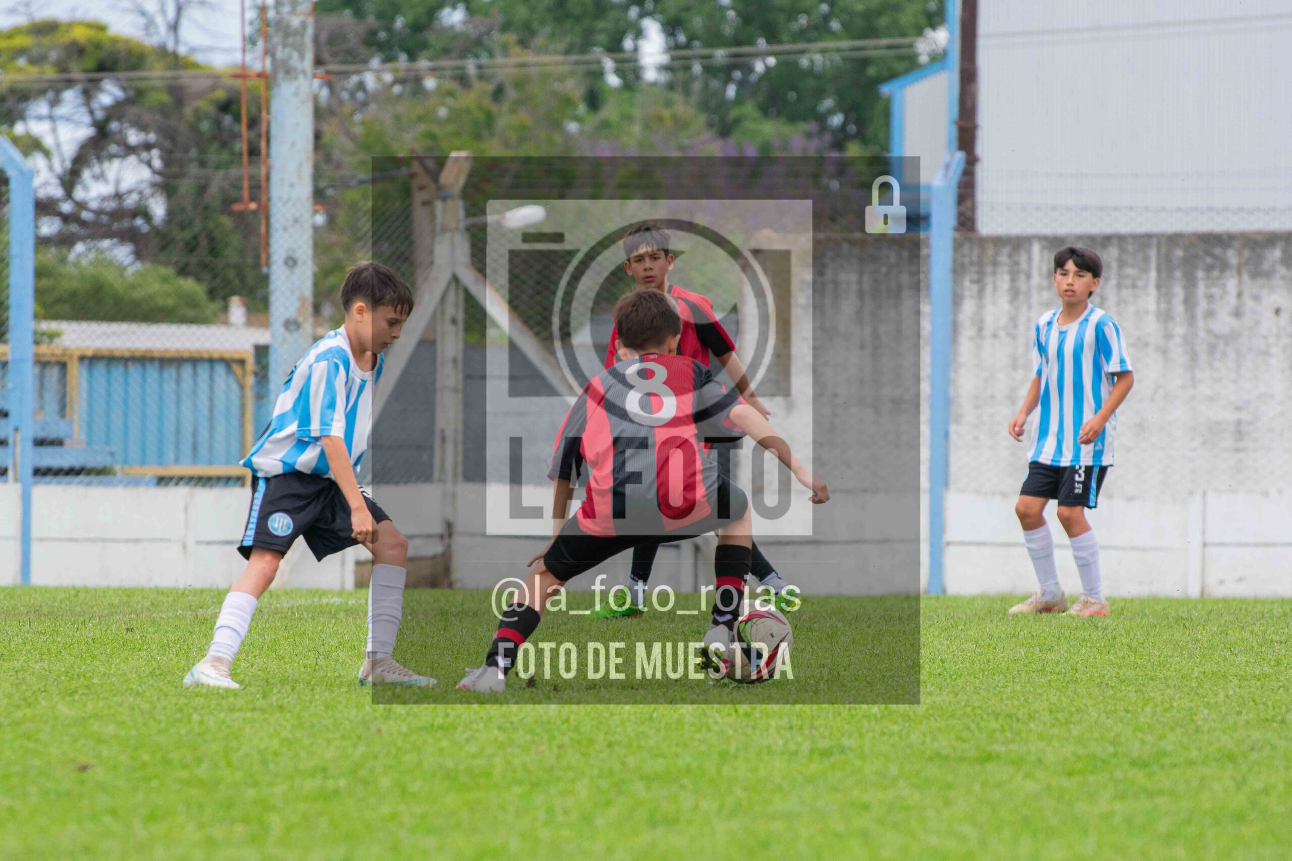 Fotografía SUB12-NEW-ARG-43-scaled de ARGENTINO - NEWBERY / SUB12 / 8-11