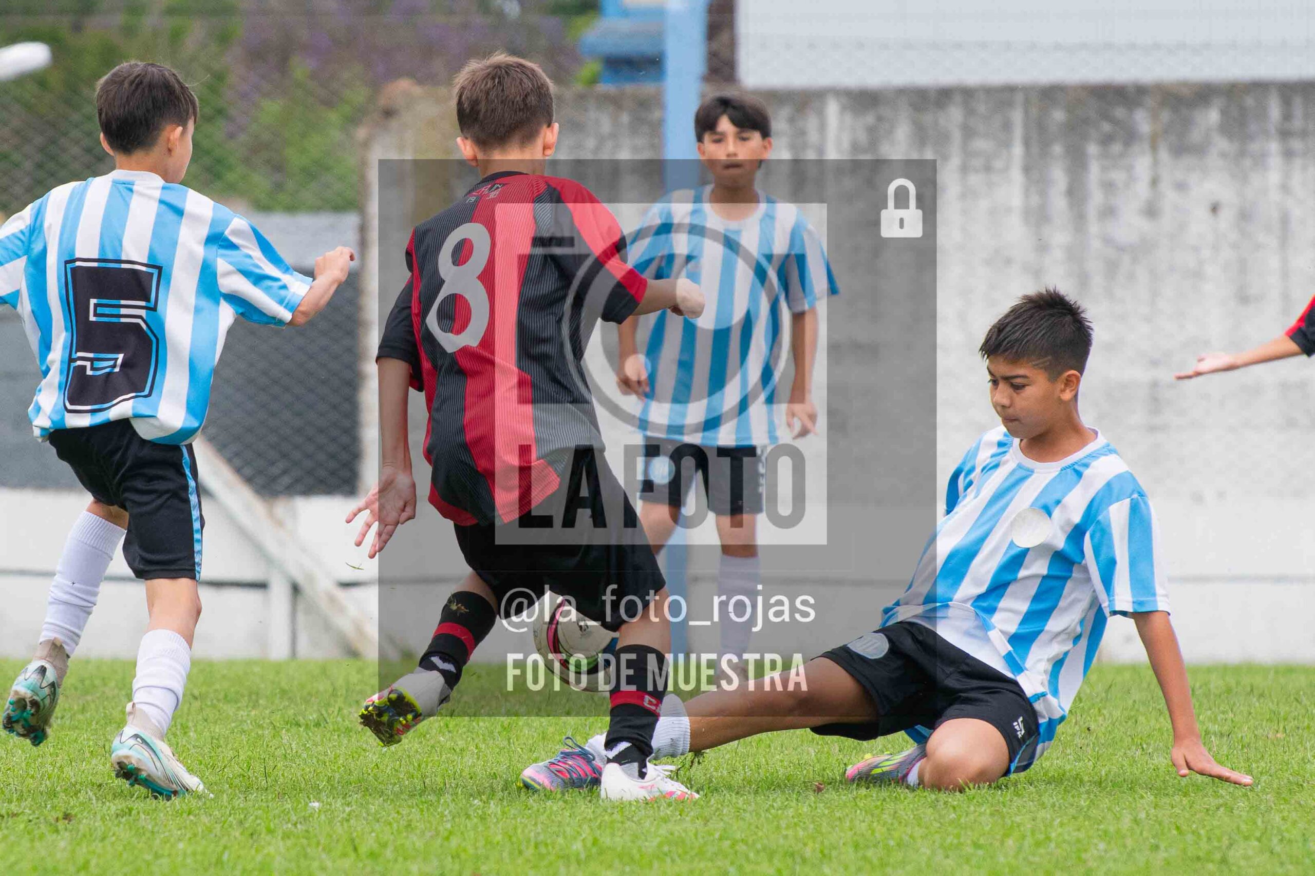 Fotografía SUB12-NEW-ARG-44-scaled de ARGENTINO - NEWBERY / SUB12 / 8-11