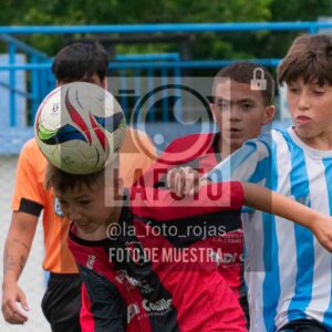 Fotografía SUB12-NEW-ARG-45-1 de ARGENTINO - NEWBERY / SUB12 / 8-11