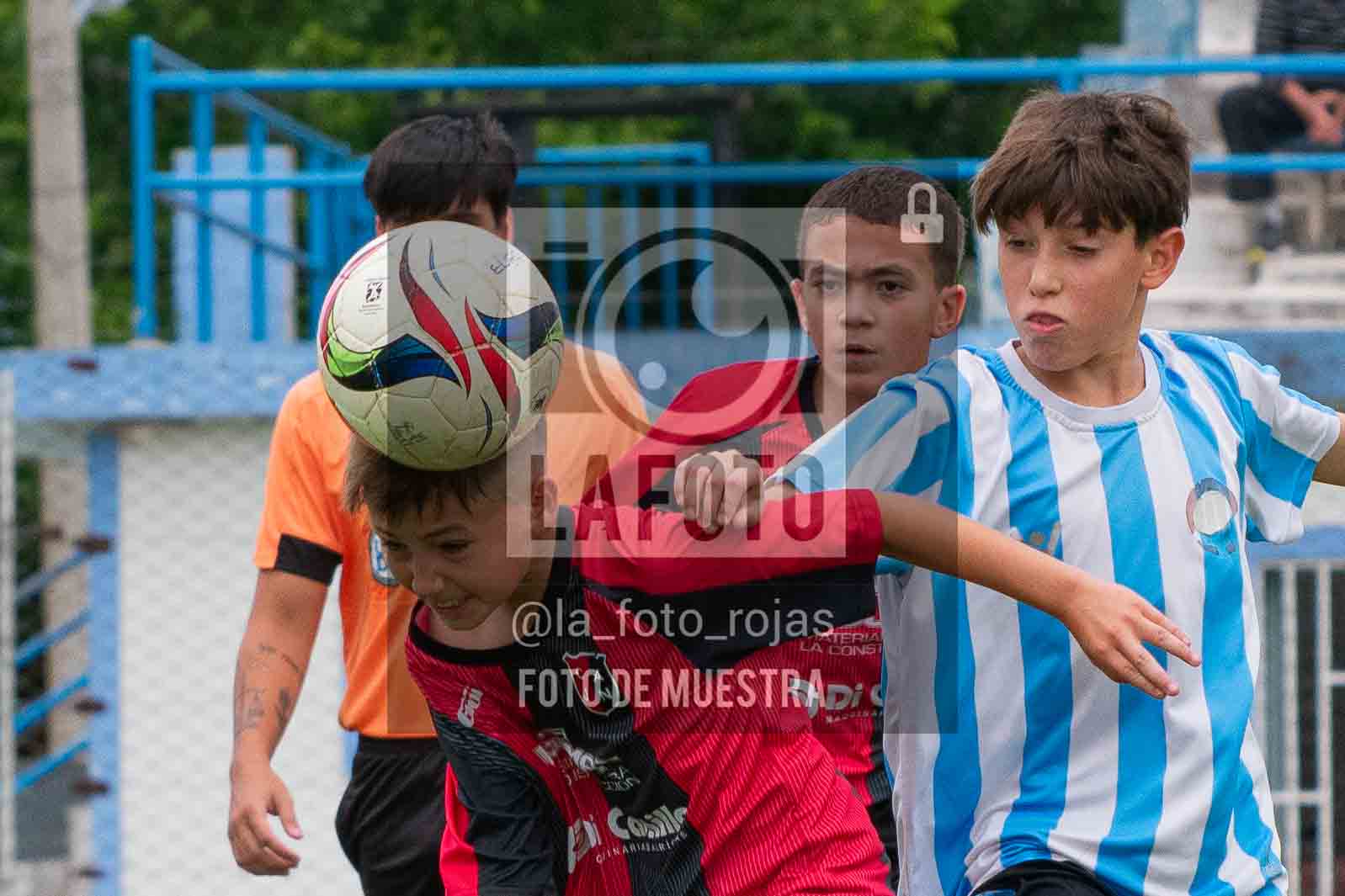 Fotografía SUB12-NEW-ARG-45-1 de ARGENTINO - NEWBERY / SUB12 / 8-11