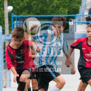 Fotografía SUB12-NEW-ARG-46 de ARGENTINO - NEWBERY / SUB12 / 8-11