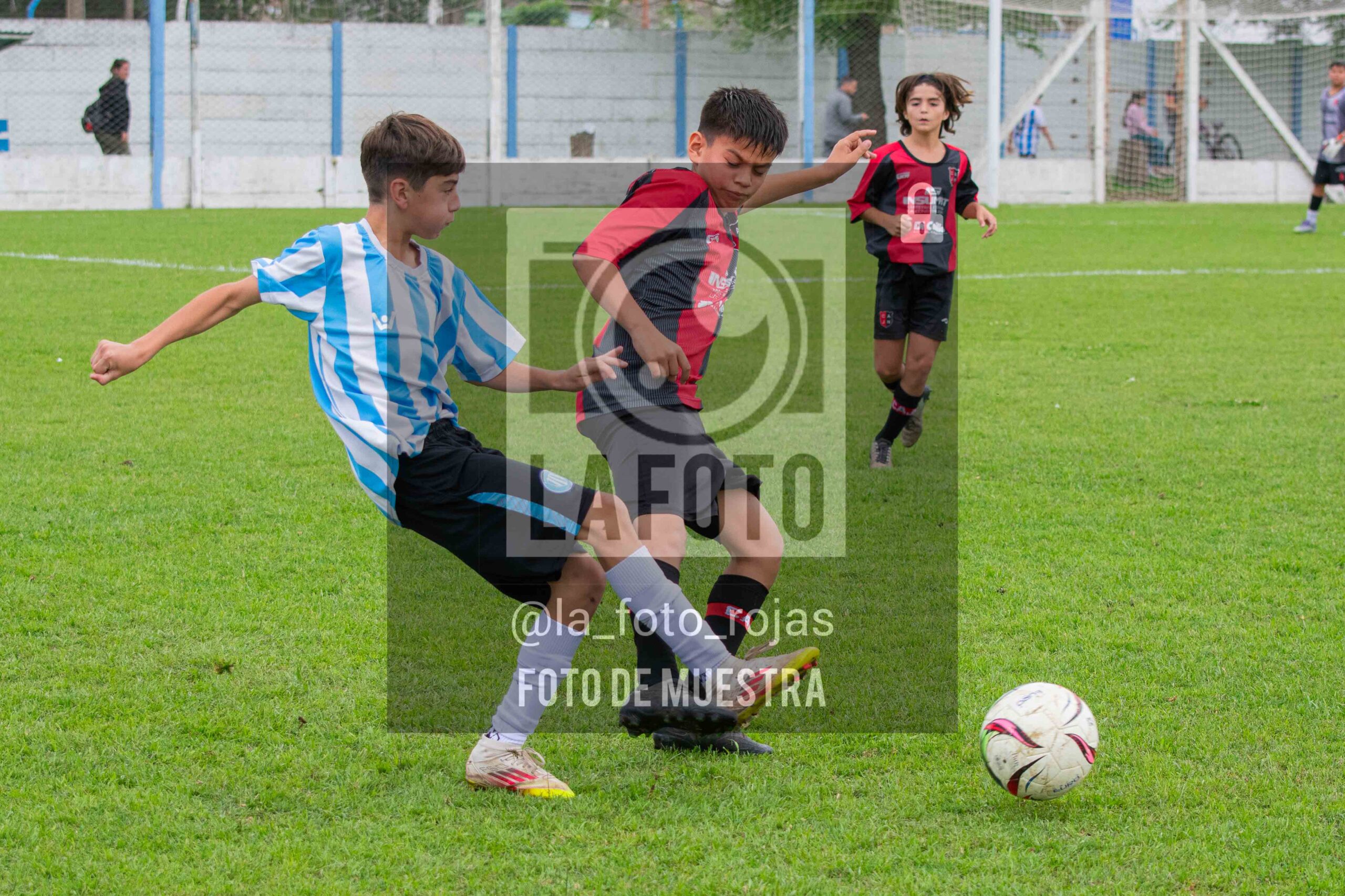 Fotografía SUB12-NEW-ARG-6-scaled de ARGENTINO - NEWBERY / SUB12 / 8-11
