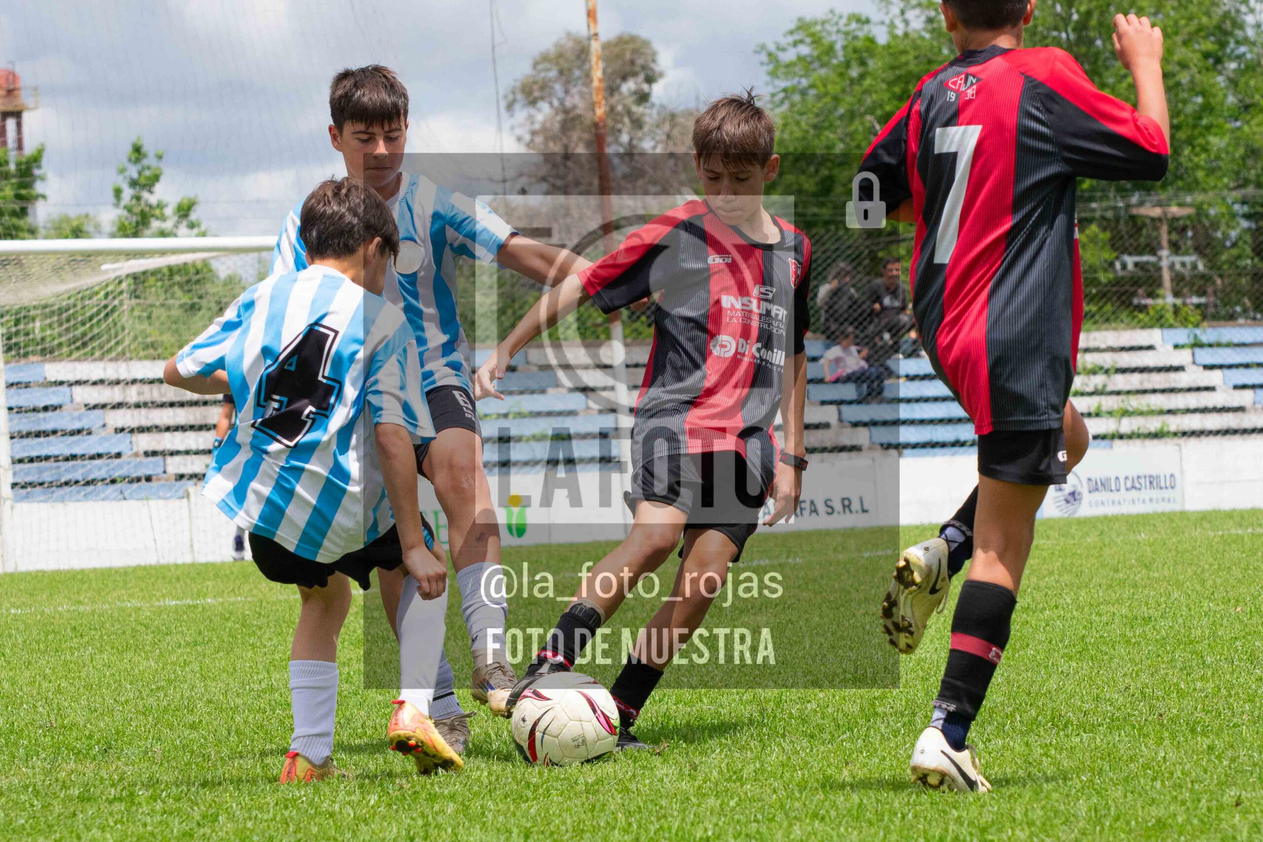 Fotografía SUB12-NEW-ARG-63-scaled de ARGENTINO - NEWBERY / SUB12 / 8-11