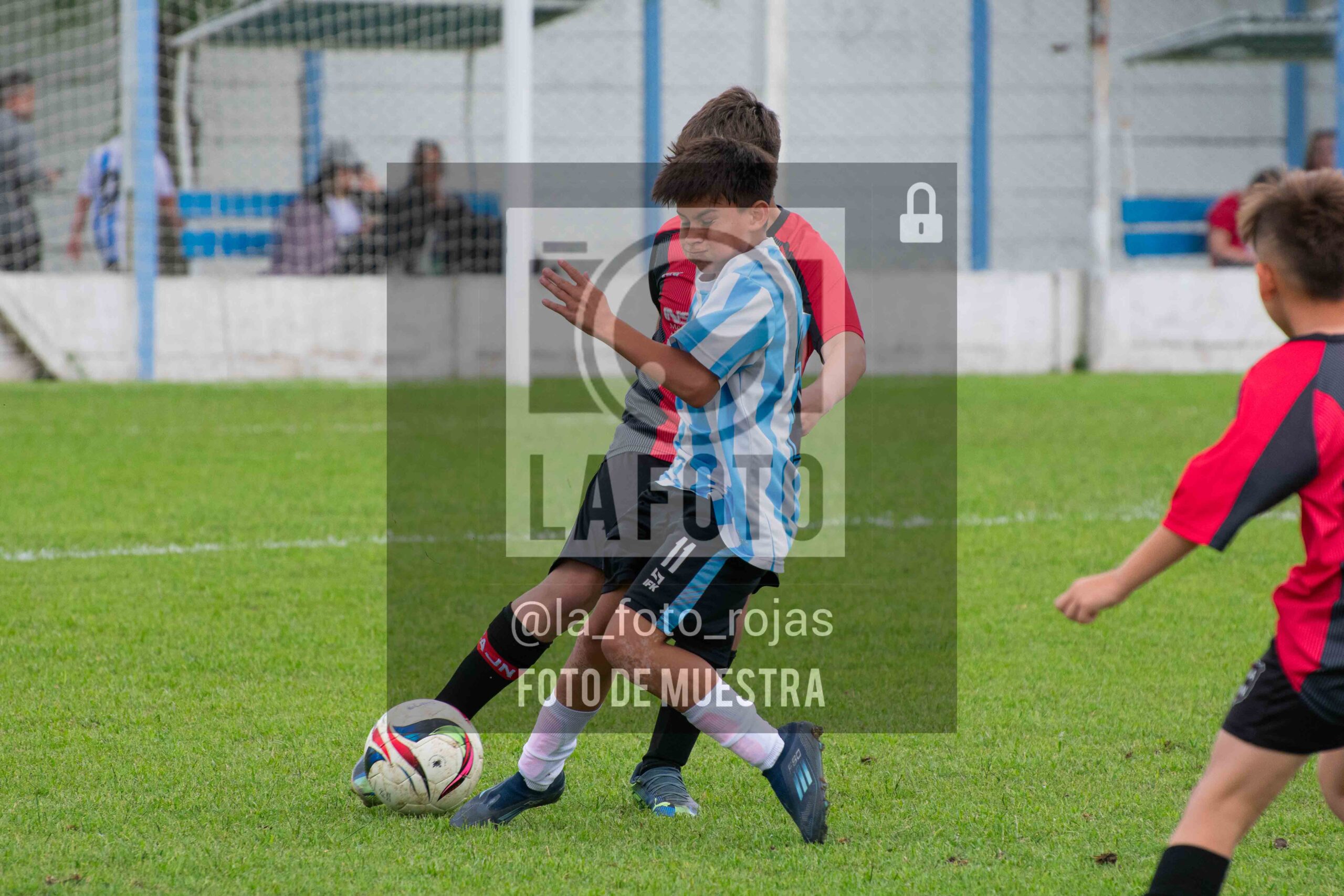 Fotografía SUB12-NEW-ARG-7-scaled de ARGENTINO - NEWBERY / SUB12 / 8-11