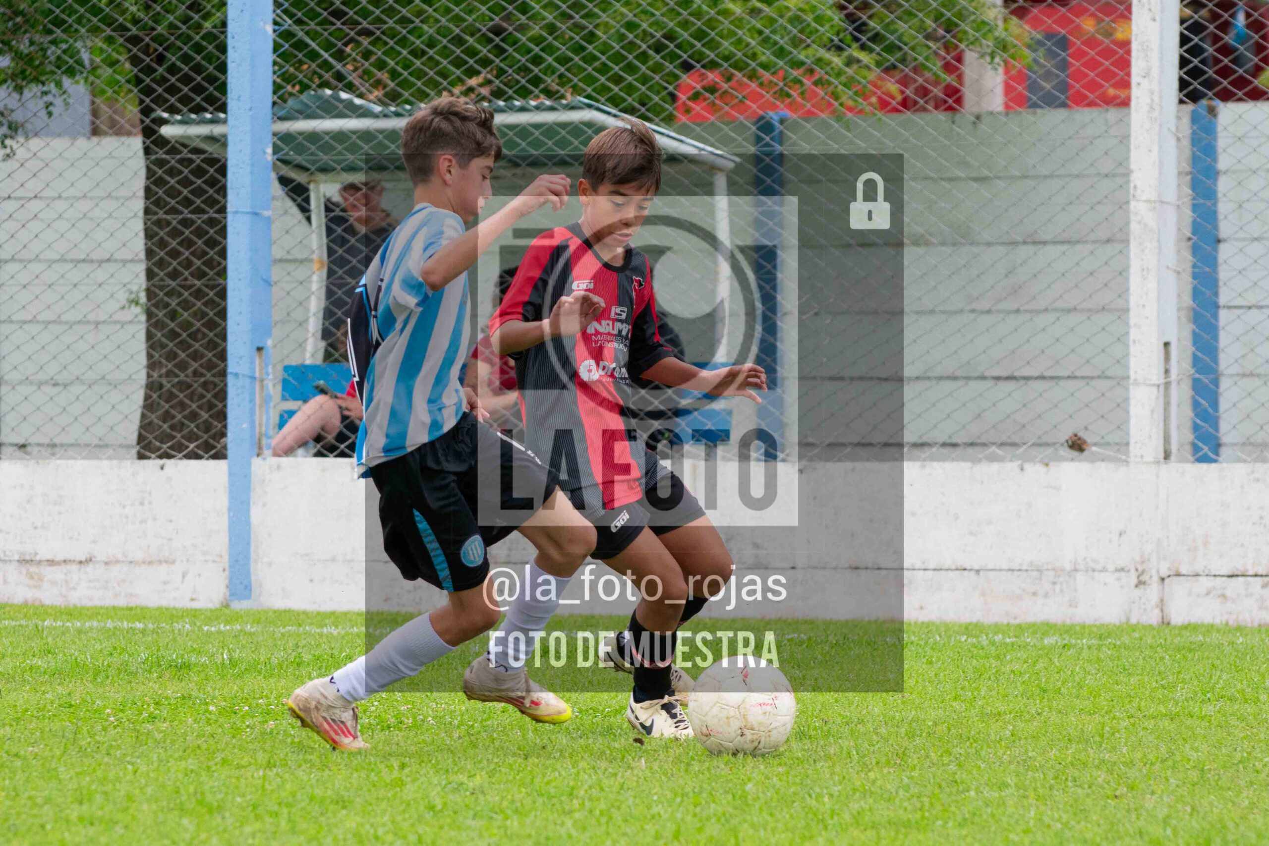 Fotografía SUB12-NEW-ARG-74-scaled de ARGENTINO - NEWBERY / SUB12 / 8-11
