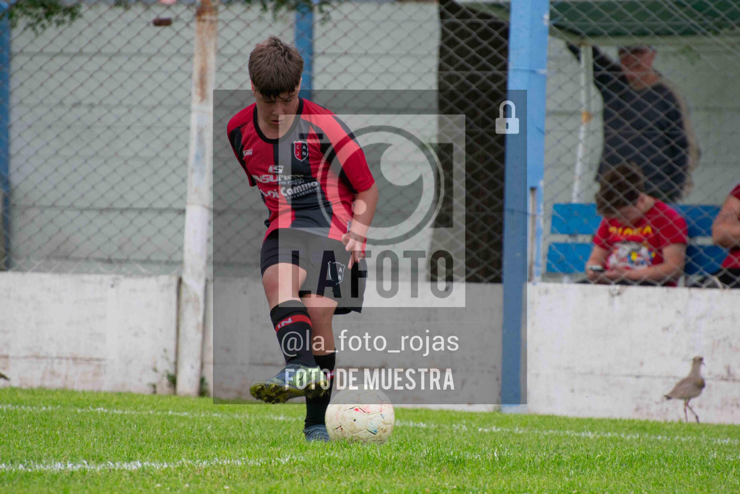 Fotografía SUB12-NEW-ARG-83-scaled de ARGENTINO - NEWBERY / SUB12 / 8-11