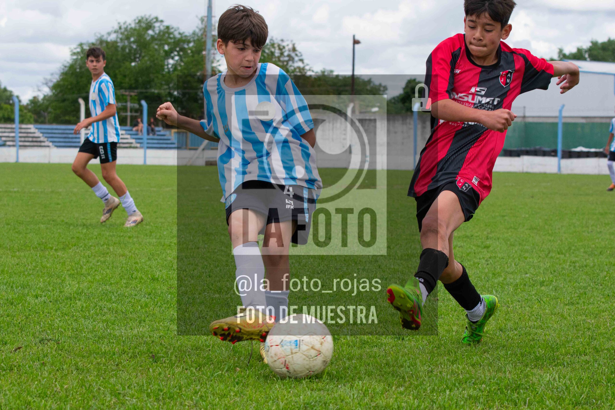 Fotografía SUB12-NEW-ARG-86-scaled de ARGENTINO - NEWBERY / SUB12 / 8-11