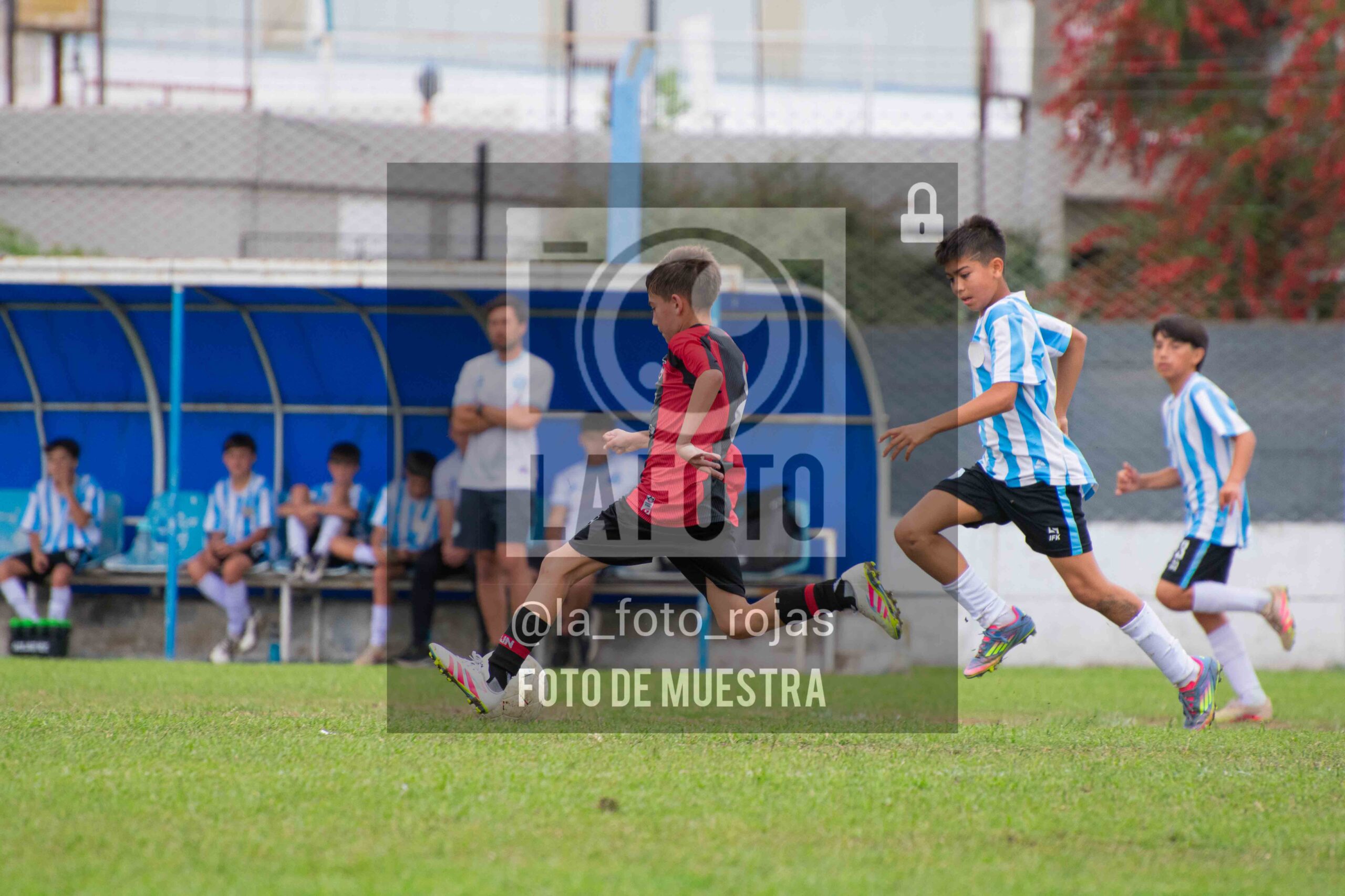 Fotografía SUB12-NEW-ARG-88-scaled de ARGENTINO - NEWBERY / SUB12 / 8-11
