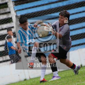 Fotografía SUB12-NEW-ARG-99-scaled de ARGENTINO - NEWBERY / SUB12 / 8-11