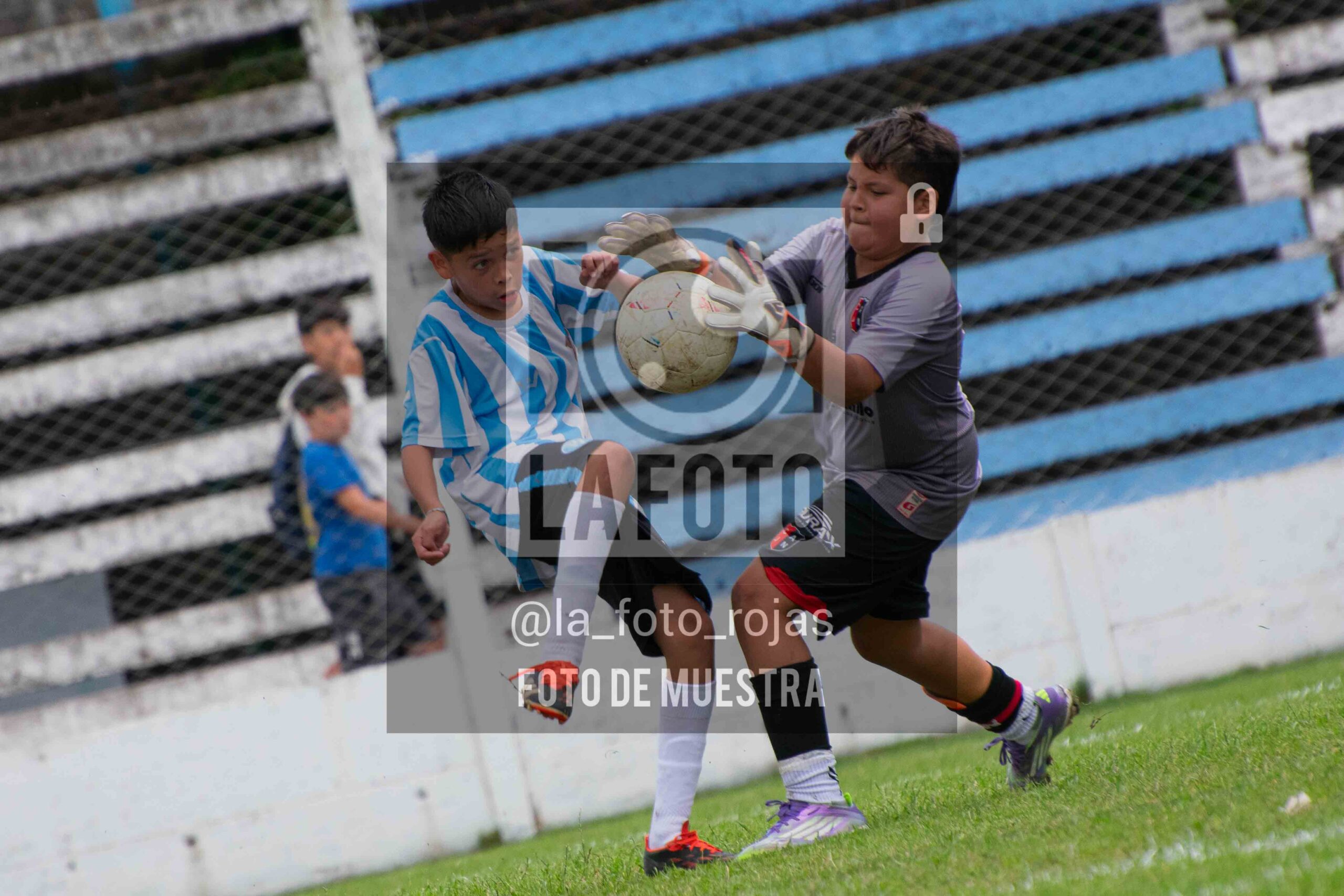 Fotografía SUB12-NEW-ARG-99-scaled de ARGENTINO - NEWBERY / SUB12 / 8-11