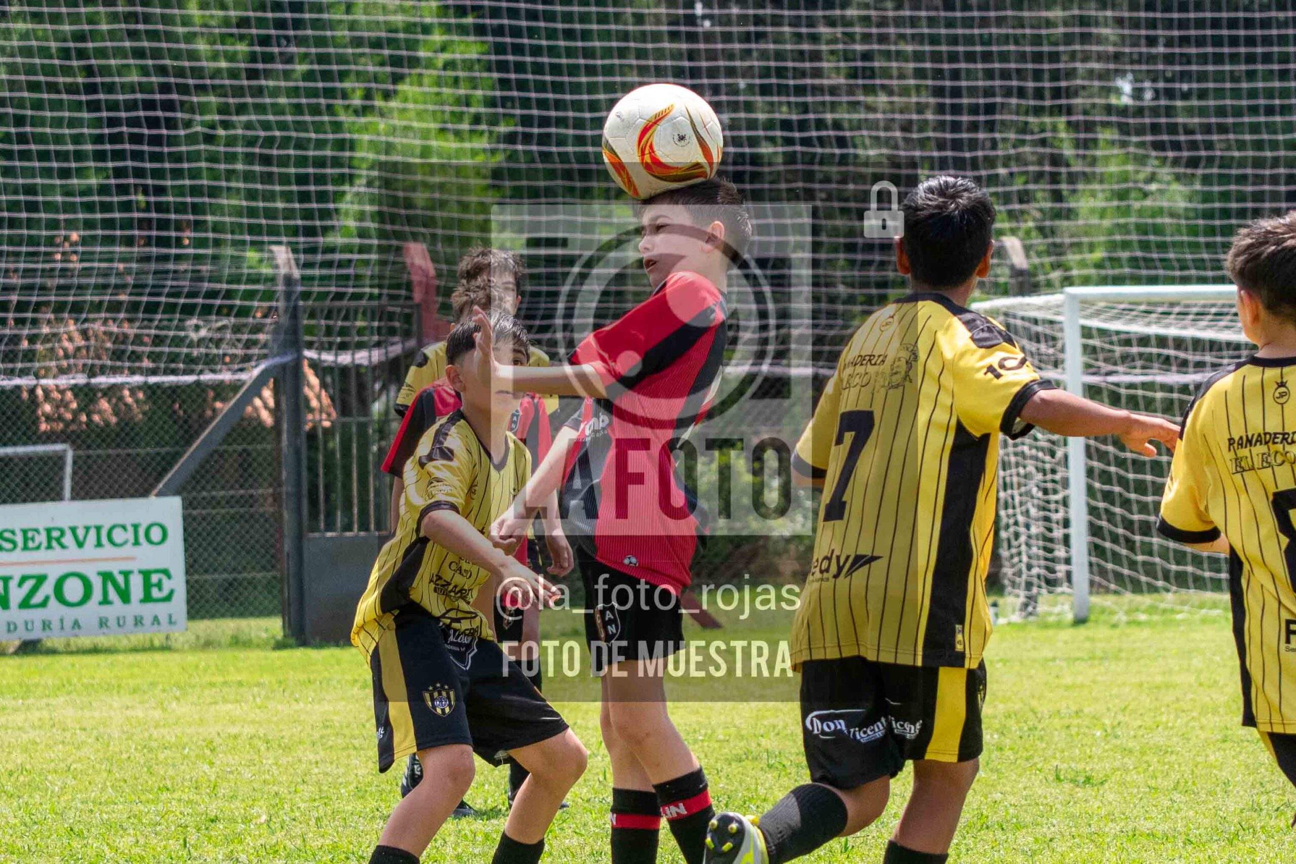 Fotografía SUB12-NEW-HURA-18-scaled de NEWBERY - HURACAN / SUB12